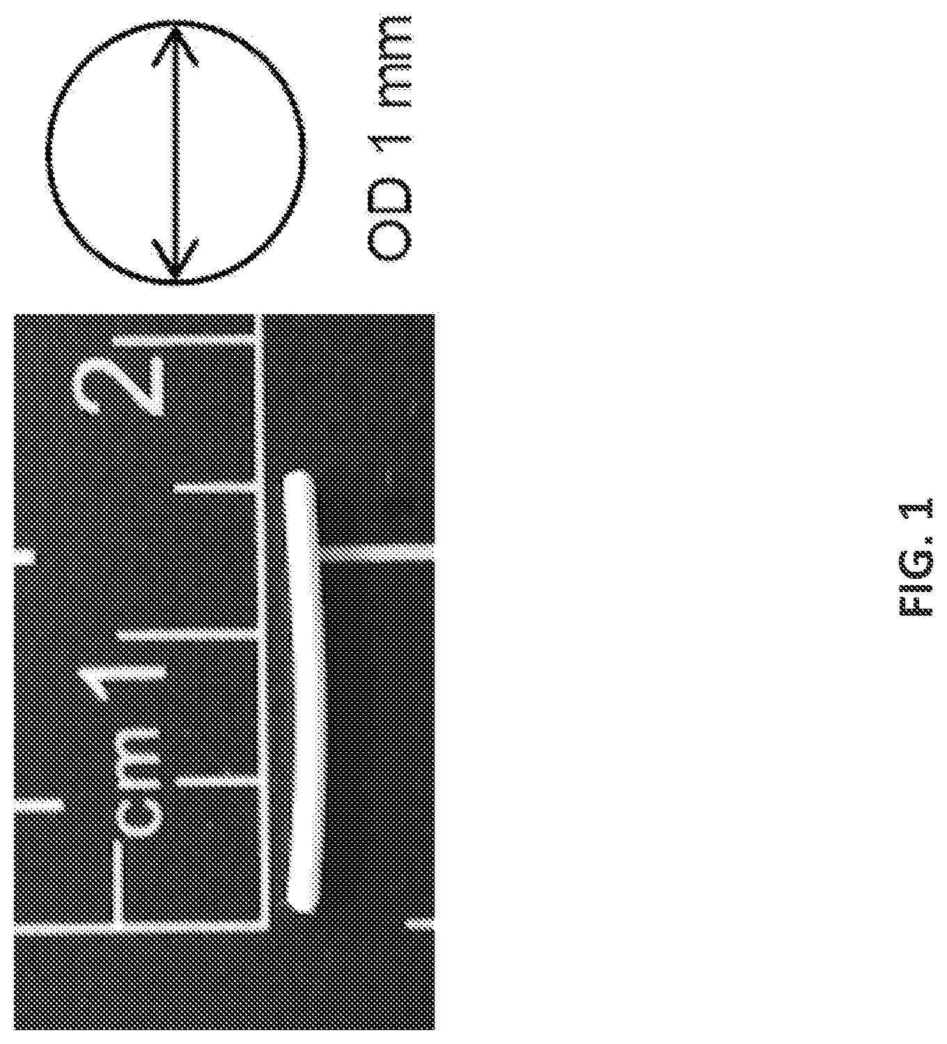 Patent US12576063 Figure 1 – Implantable drug delivery devices for localized drug delivery