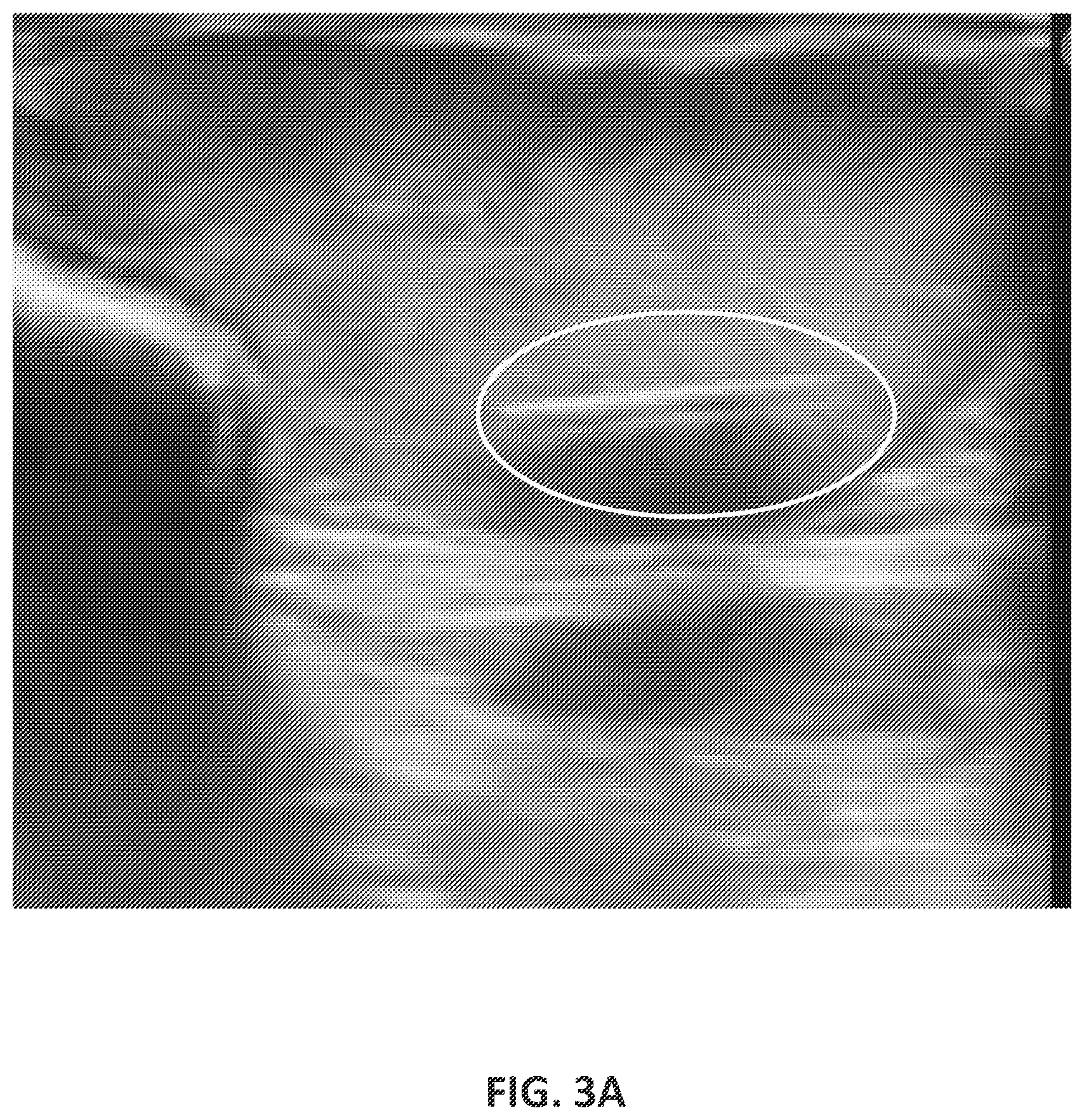 Patent US12576063 Figure 8 – Implantable drug delivery devices for localized drug delivery