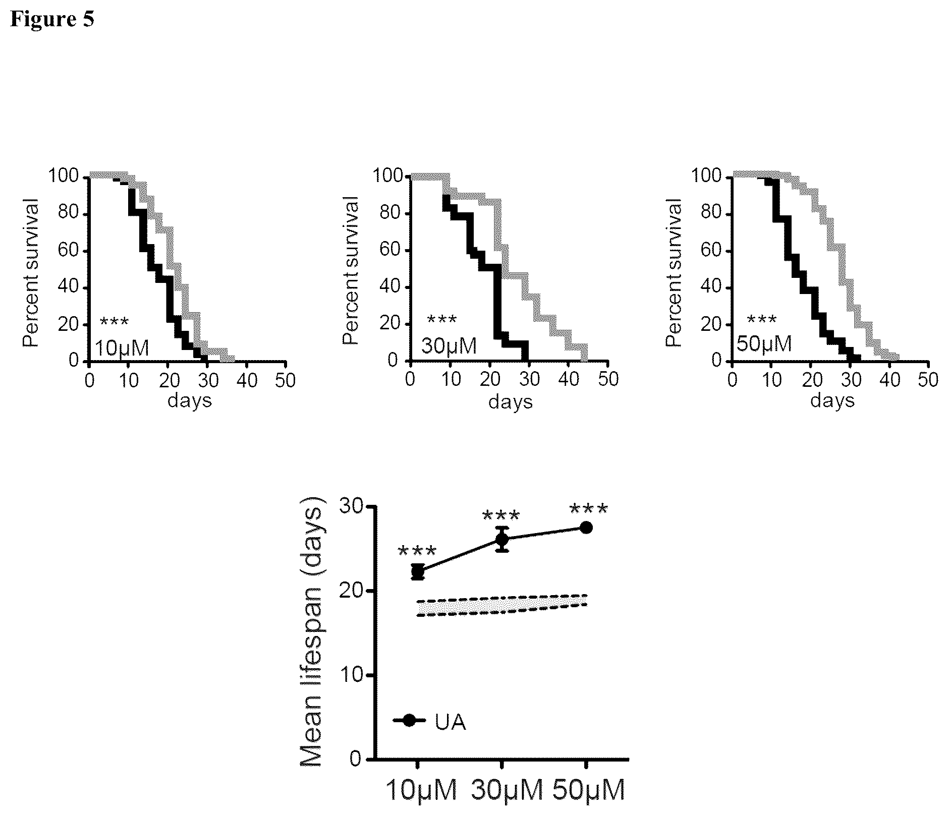 Patent US12576065 Figure 5 – Enhancing autophagy or increasing longevity by administration of urolithins