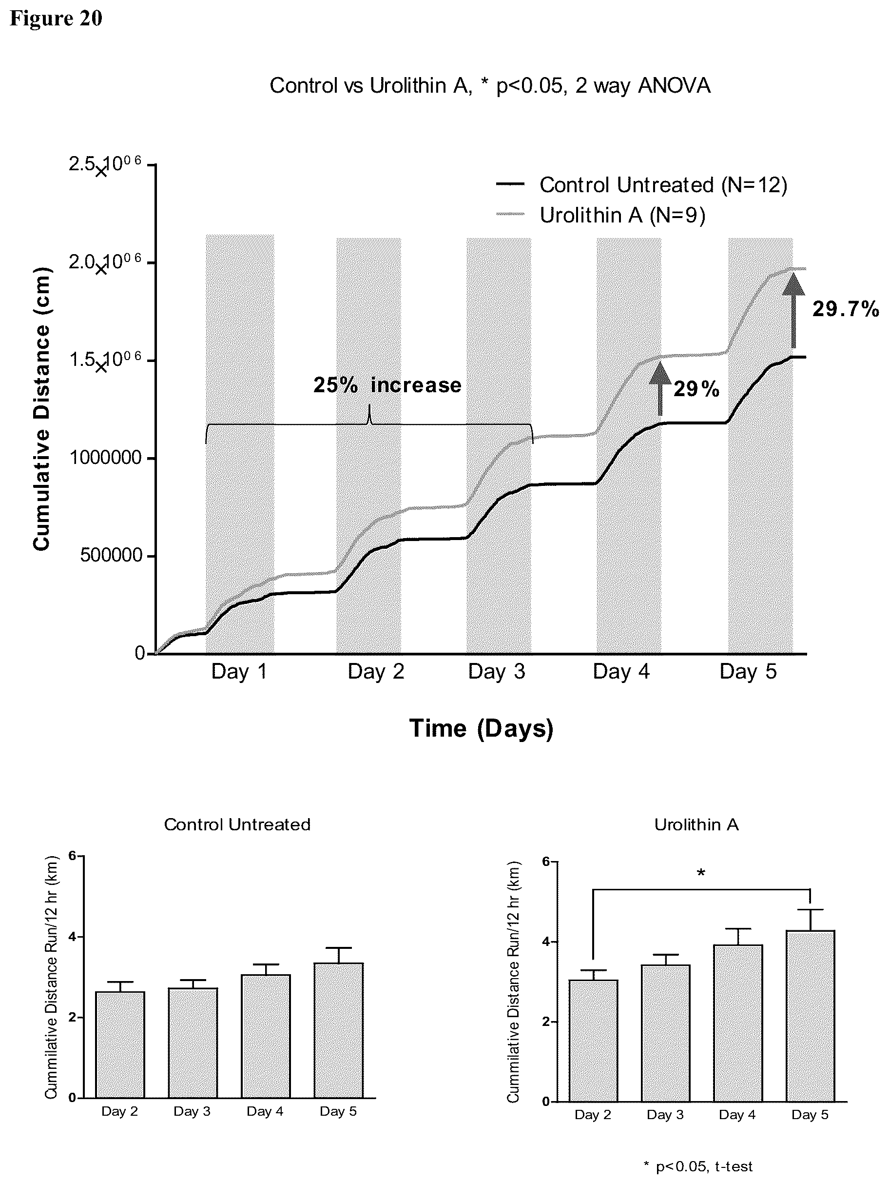 Patent US12576065 Figure 19 – Enhancing autophagy or increasing longevity by administration of urolithins