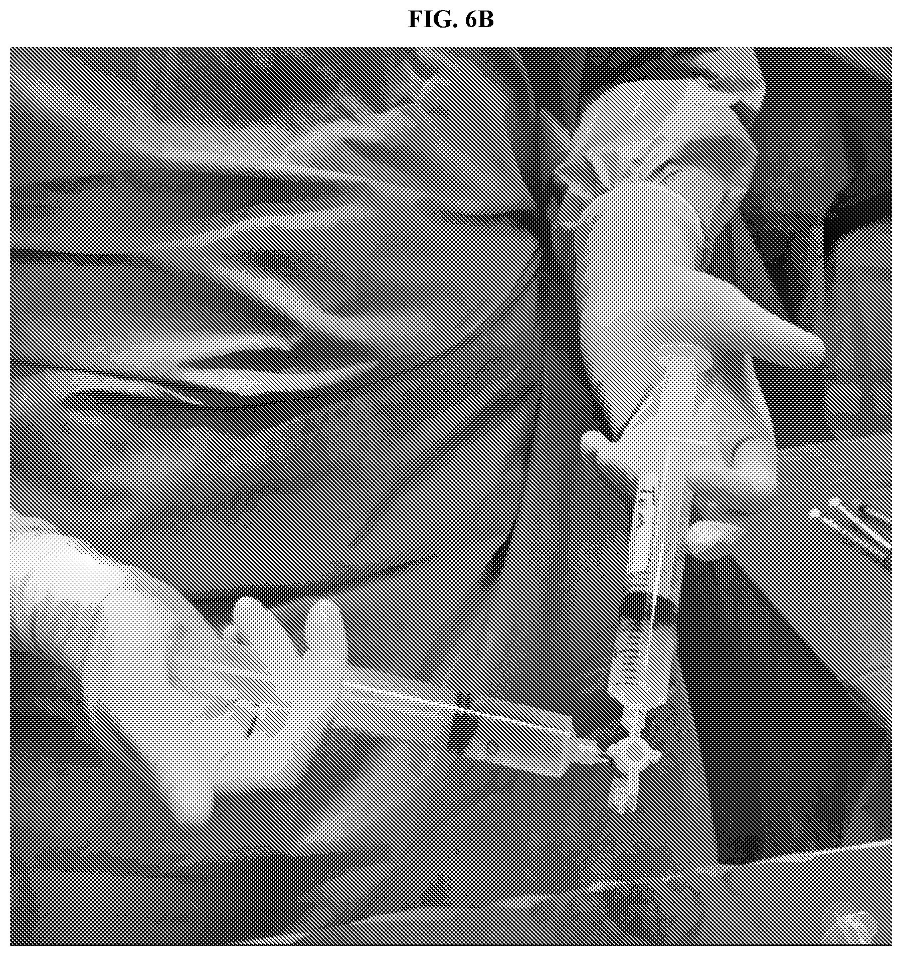 Patent US12576069 Figure 8 – Compositions and methods for treating slow-flow vascular malformations