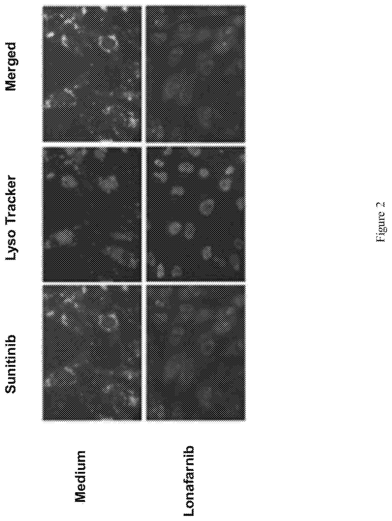Patent US12576075 Figure 2 – Combination therapies for treating cancer