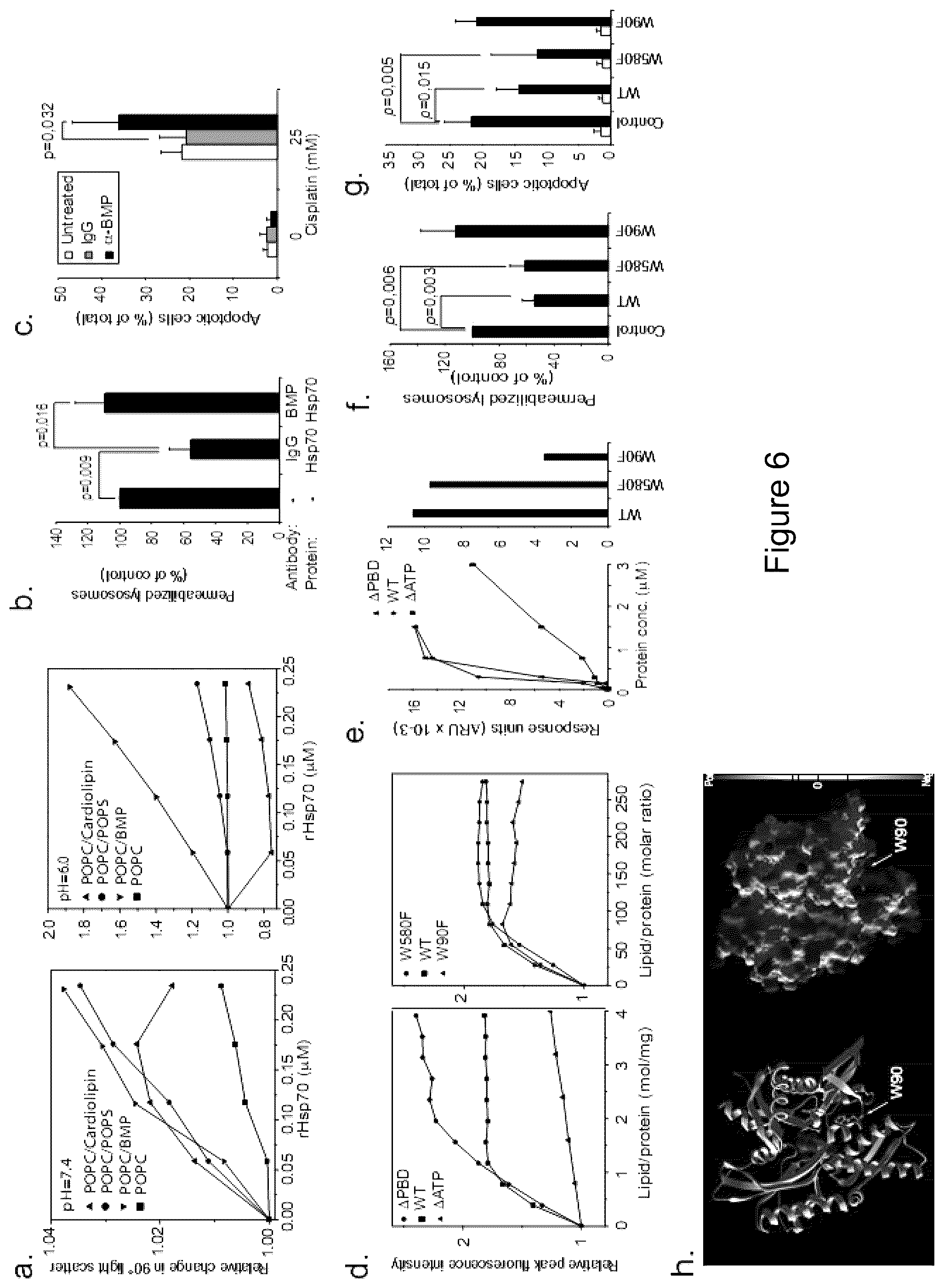 Patent US12576076 Figure 6 – Use of HSP70 as a regulator of enzymatic activity