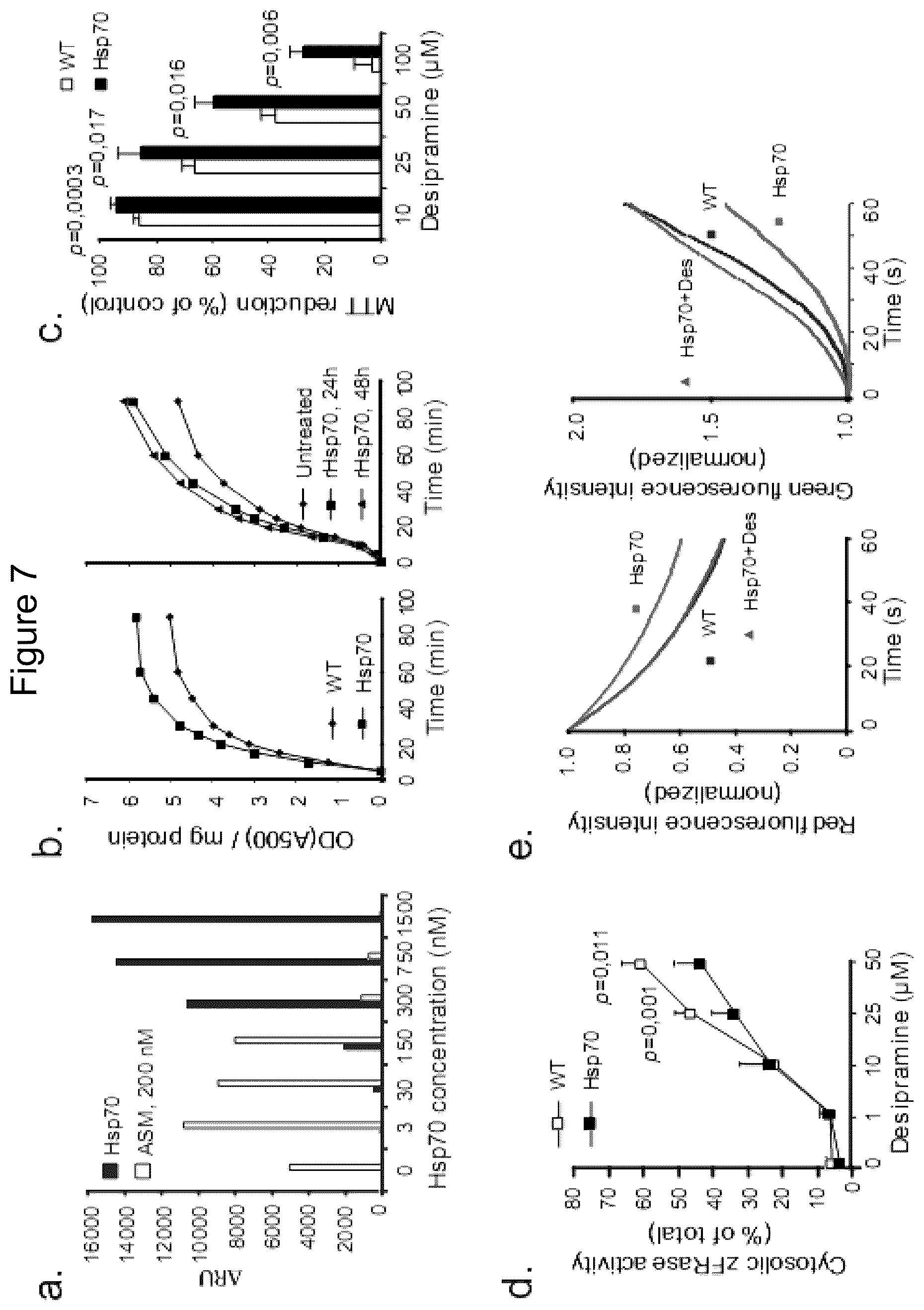 Patent US12576076 Figure 7 – Use of HSP70 as a regulator of enzymatic activity