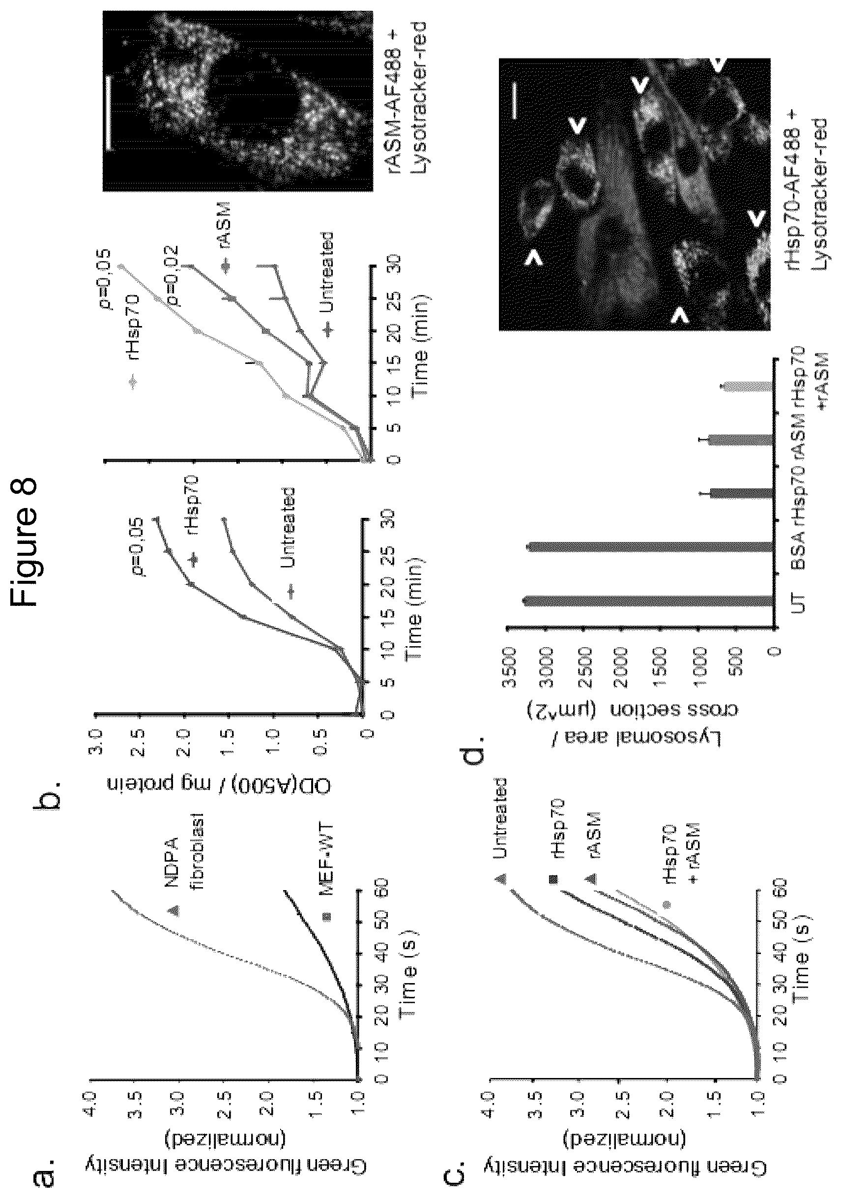 Patent US12576076 Figure 8 – Use of HSP70 as a regulator of enzymatic activity