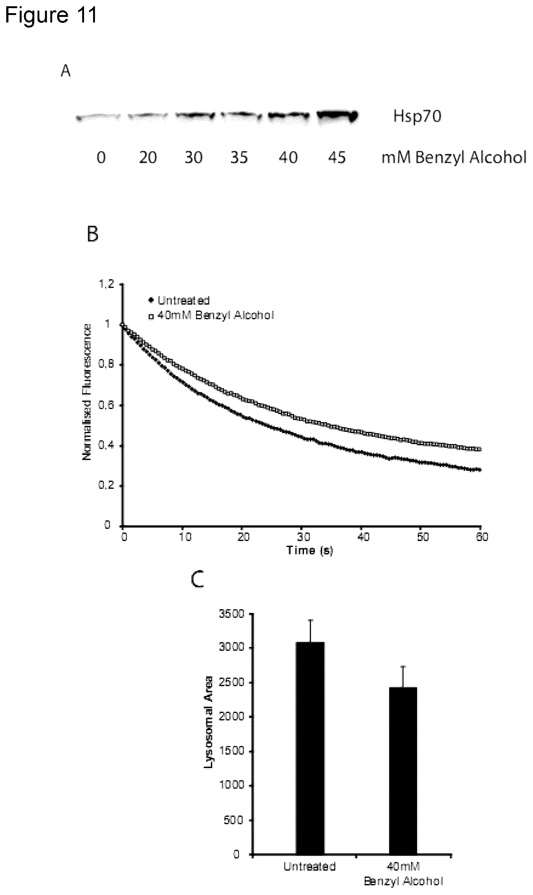 Patent US12576076 Figure 11 – Use of HSP70 as a regulator of enzymatic activity