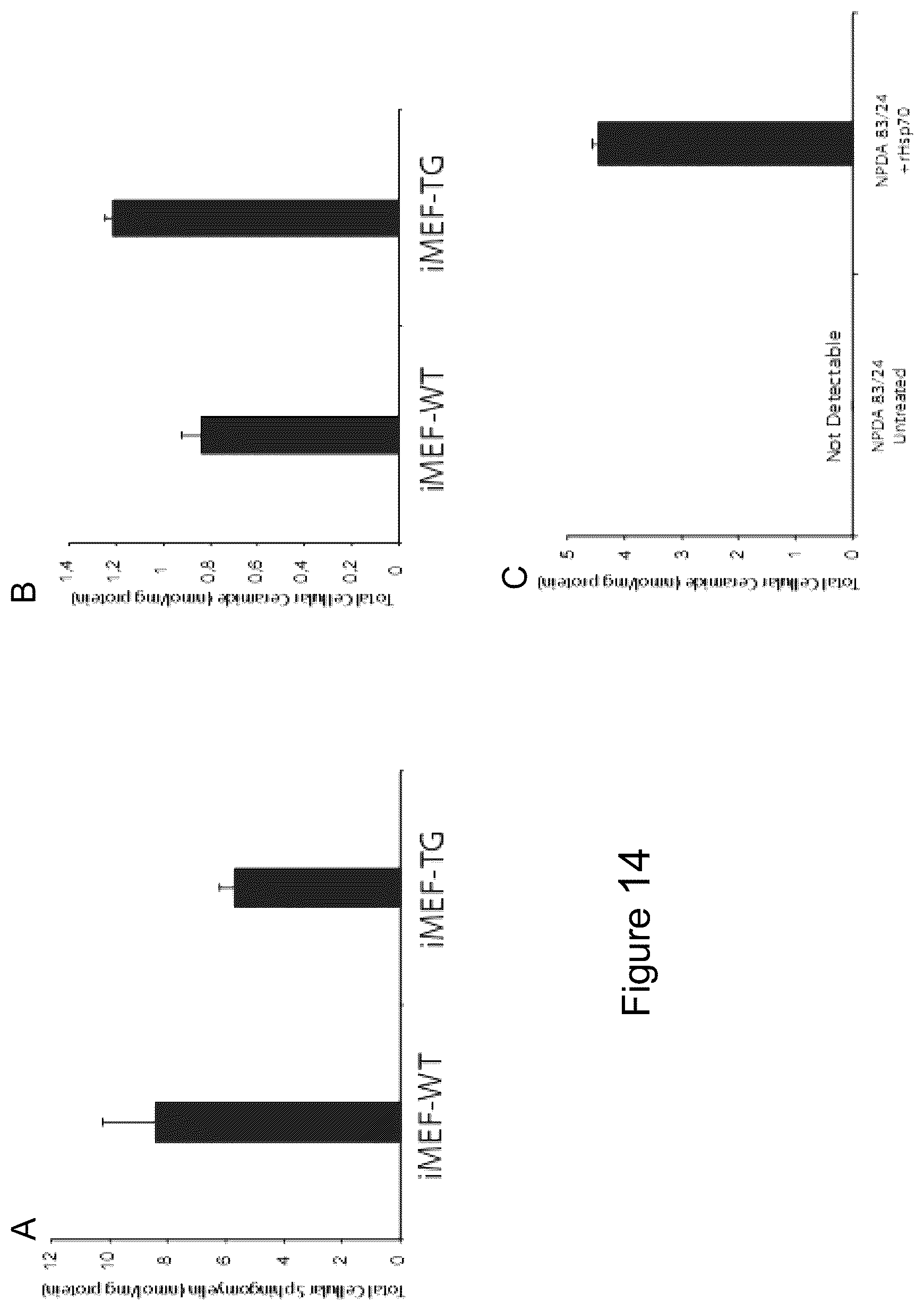 Patent US12576076 Figure 14 – Use of HSP70 as a regulator of enzymatic activity