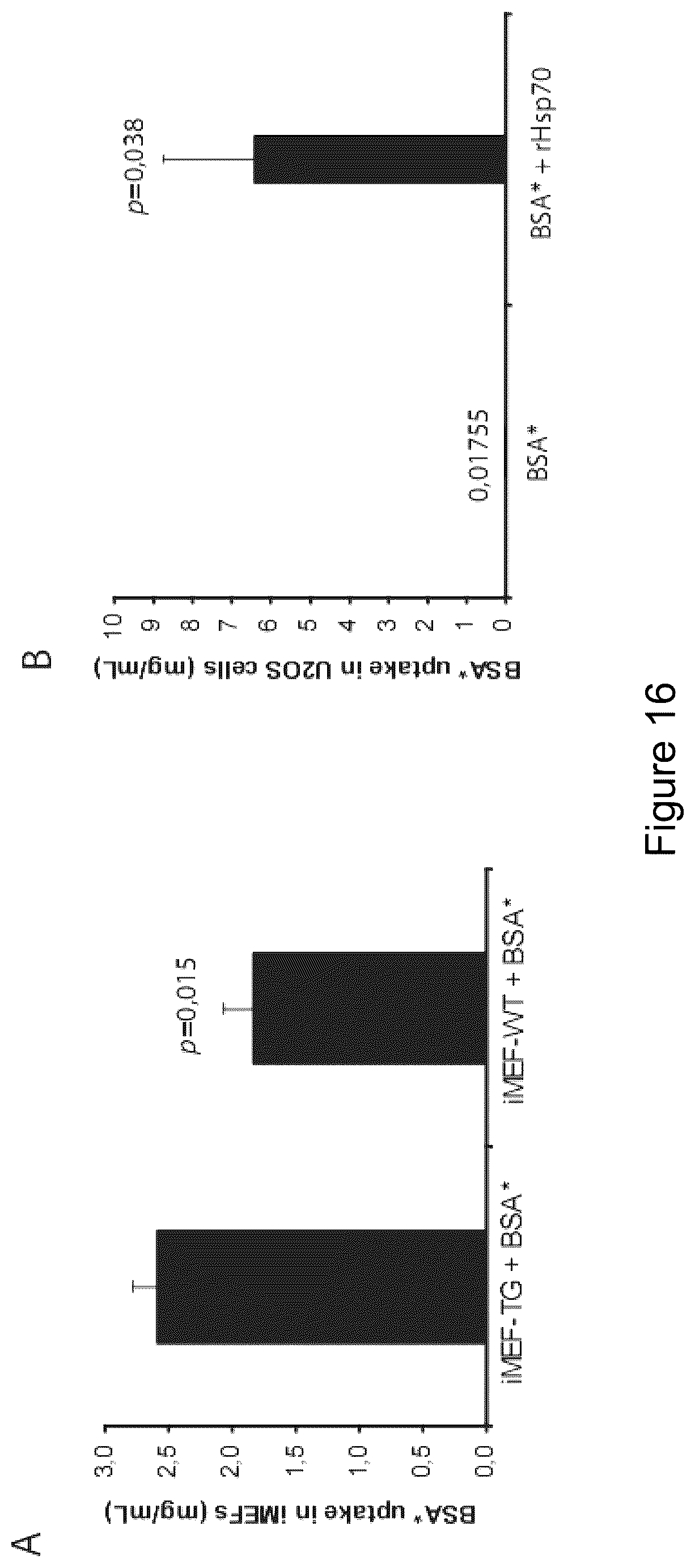Patent US12576076 Figure 16 – Use of HSP70 as a regulator of enzymatic activity