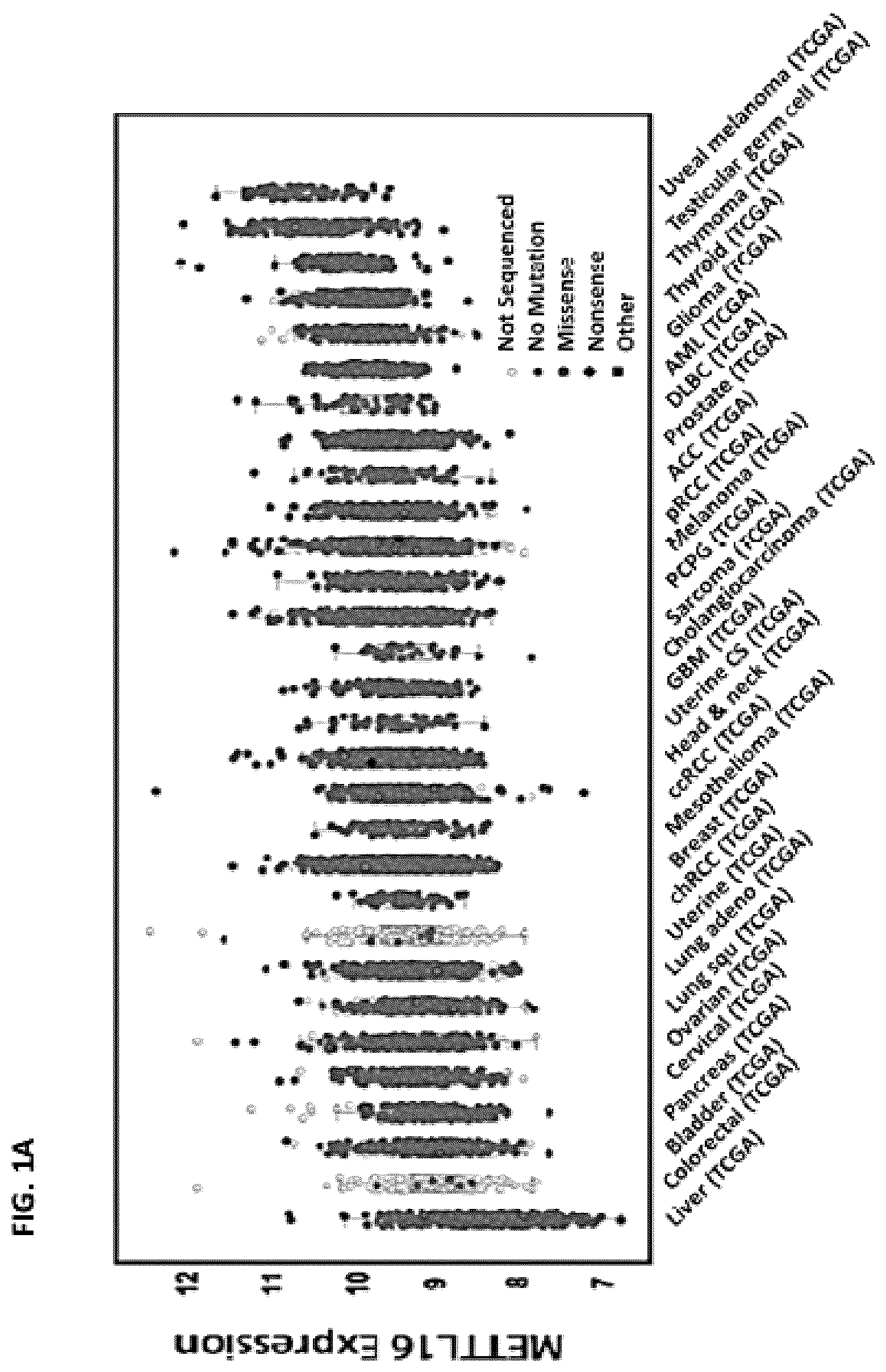 Patent US12576082 — METTL16 inhibitors and uses thereof — Figure 1