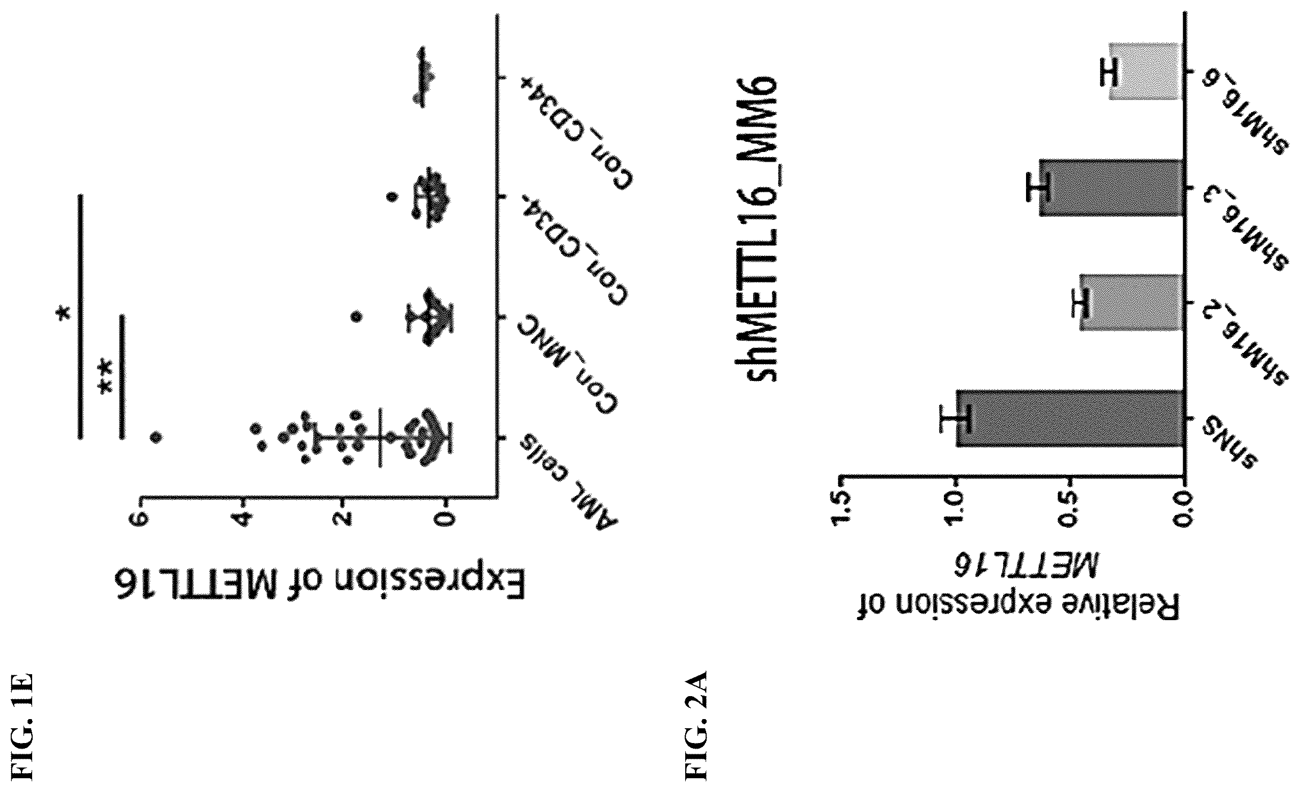 Patent US12576082 Figure 4 – METTL16 inhibitors and uses thereof