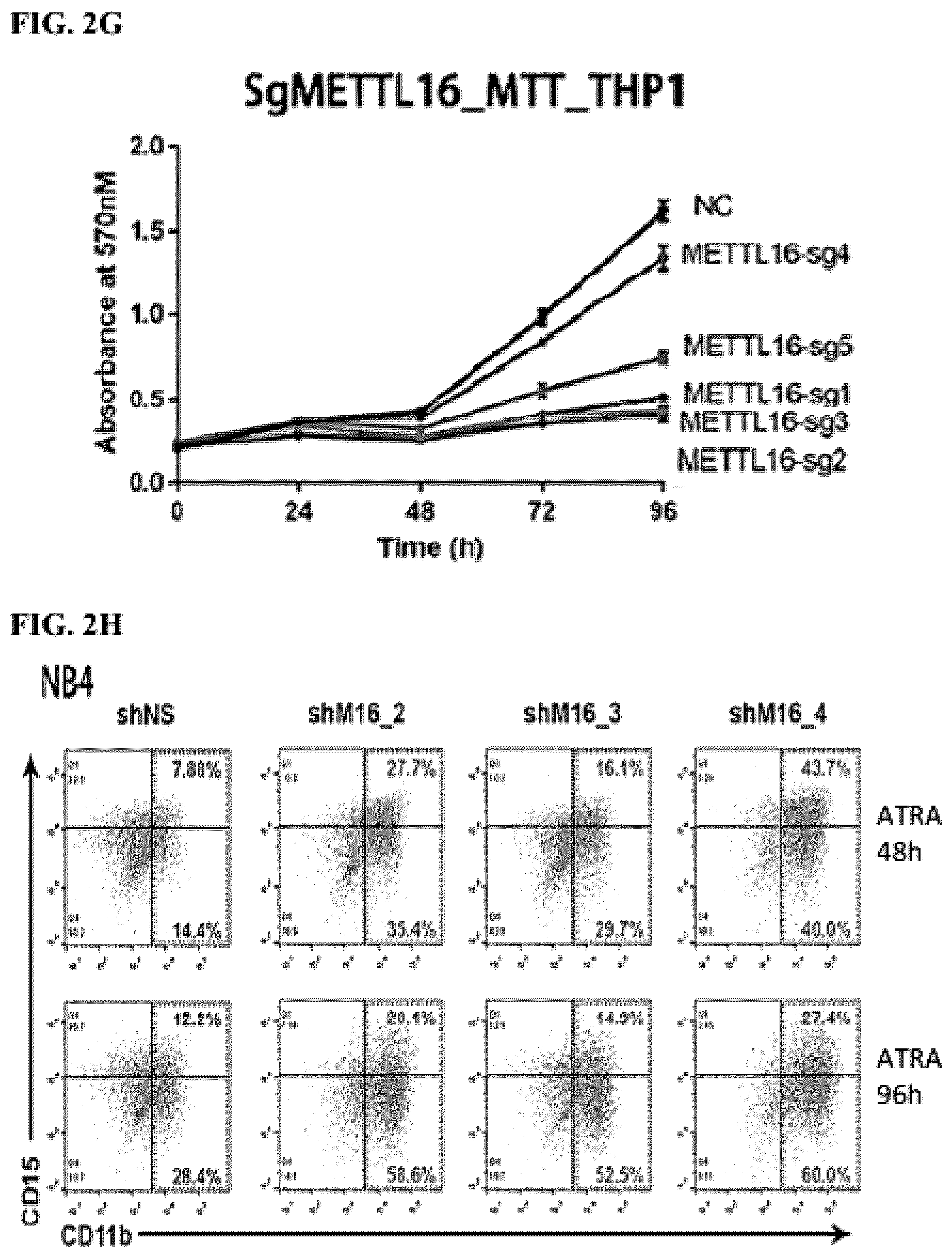 Patent US12576082 Figure 7 – METTL16 inhibitors and uses thereof