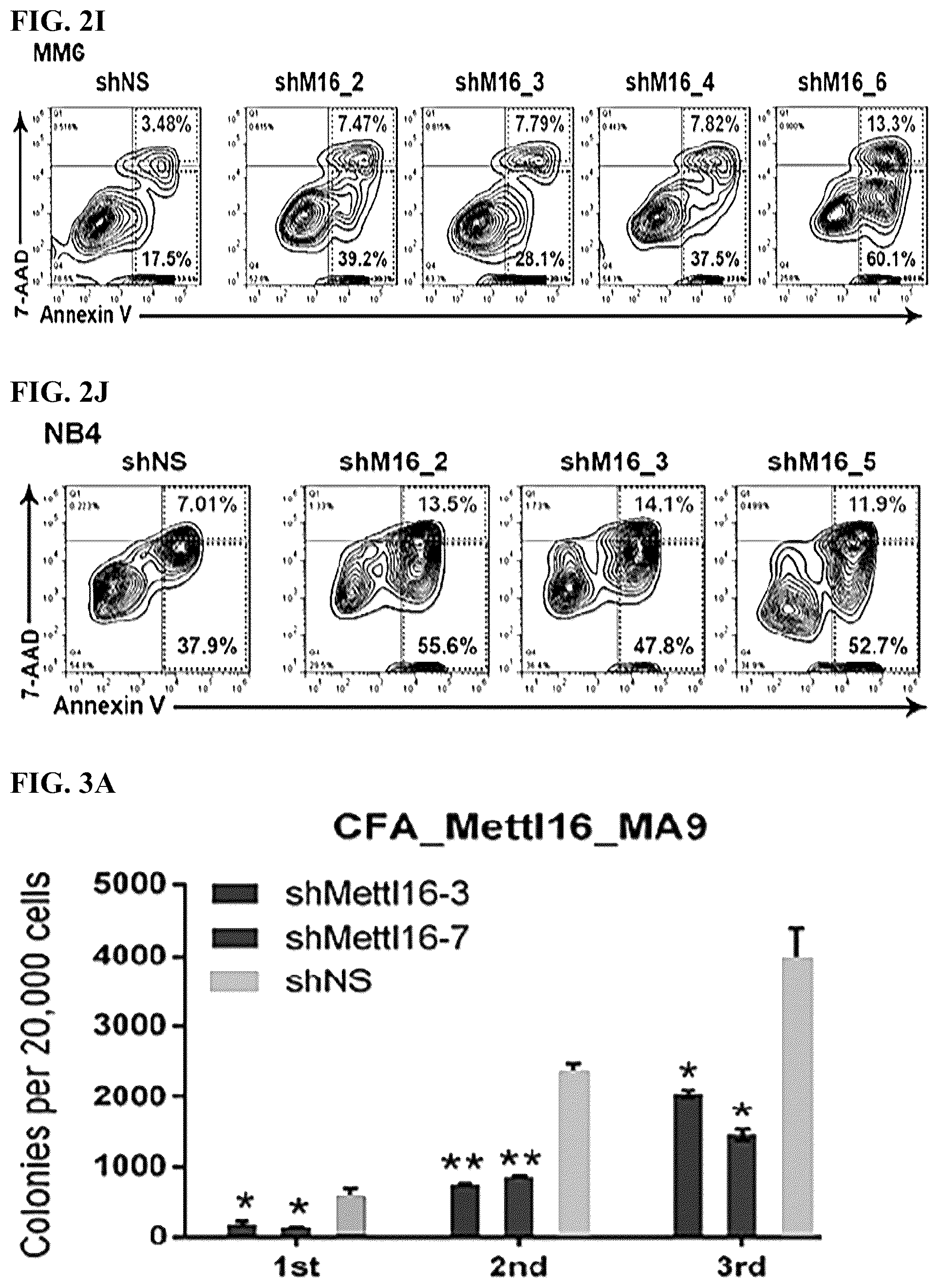 Patent US12576082 Figure 8 – METTL16 inhibitors and uses thereof