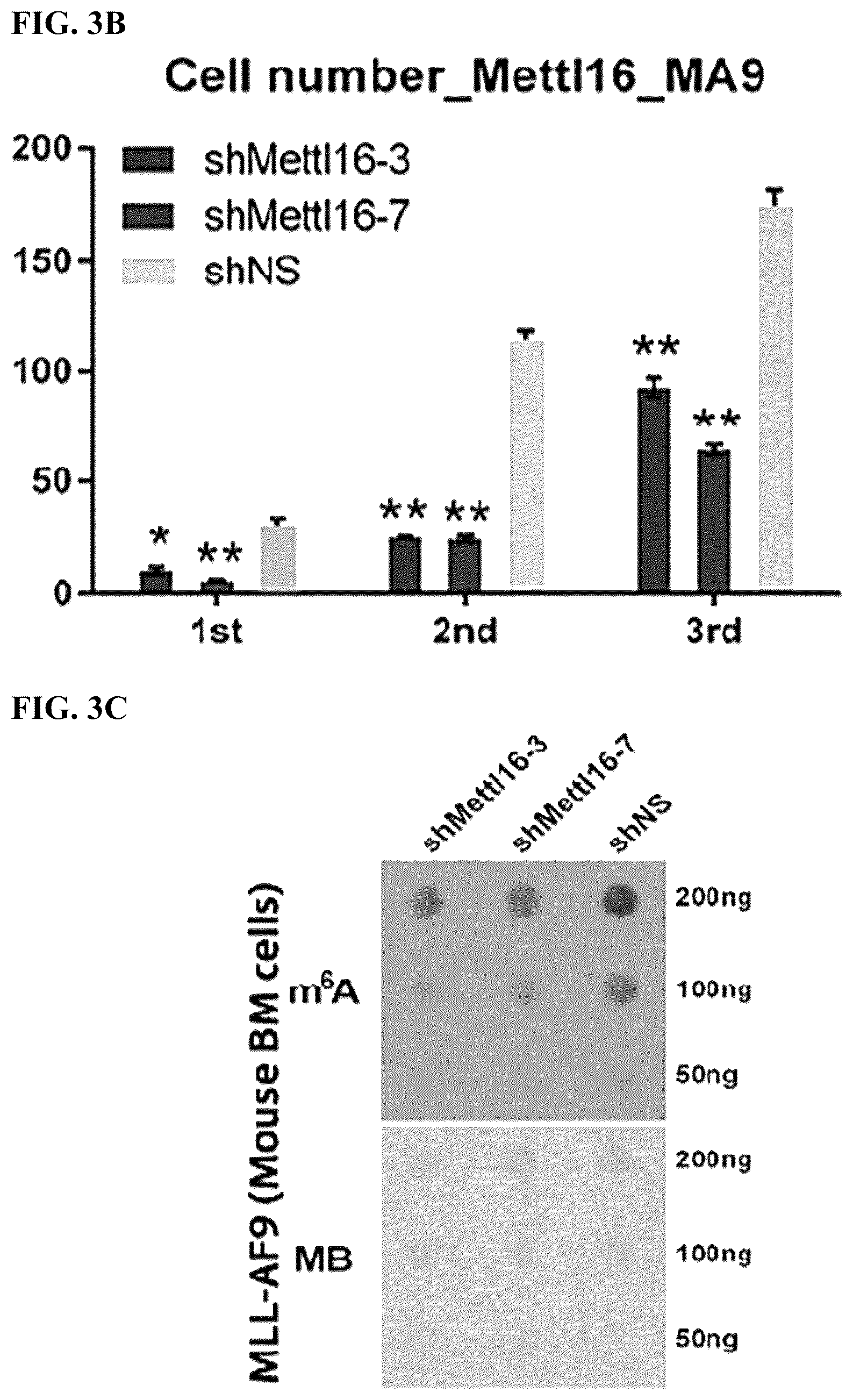 Patent US12576082 Figure 9 – METTL16 inhibitors and uses thereof