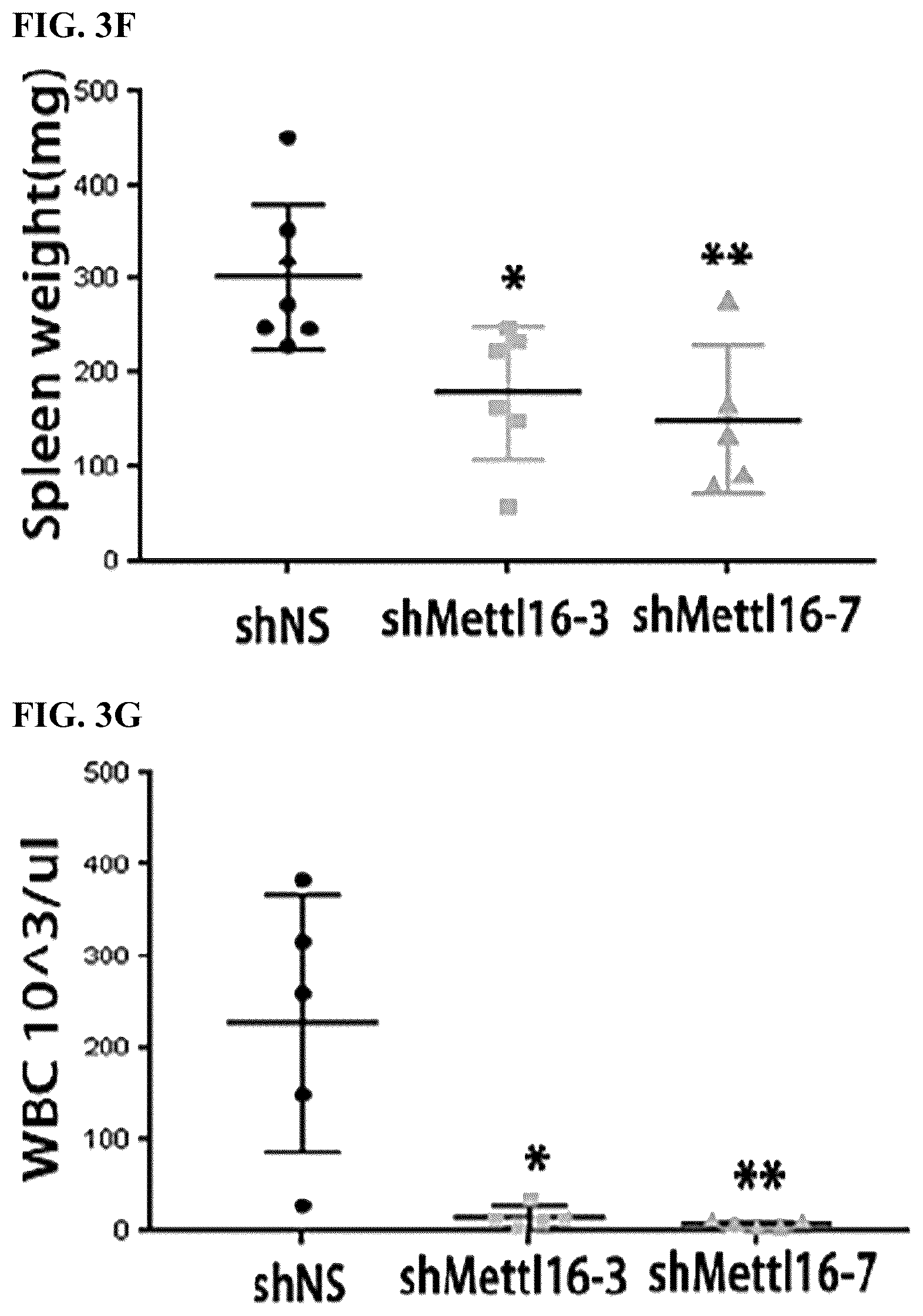 Patent US12576082 Figure 11 – METTL16 inhibitors and uses thereof