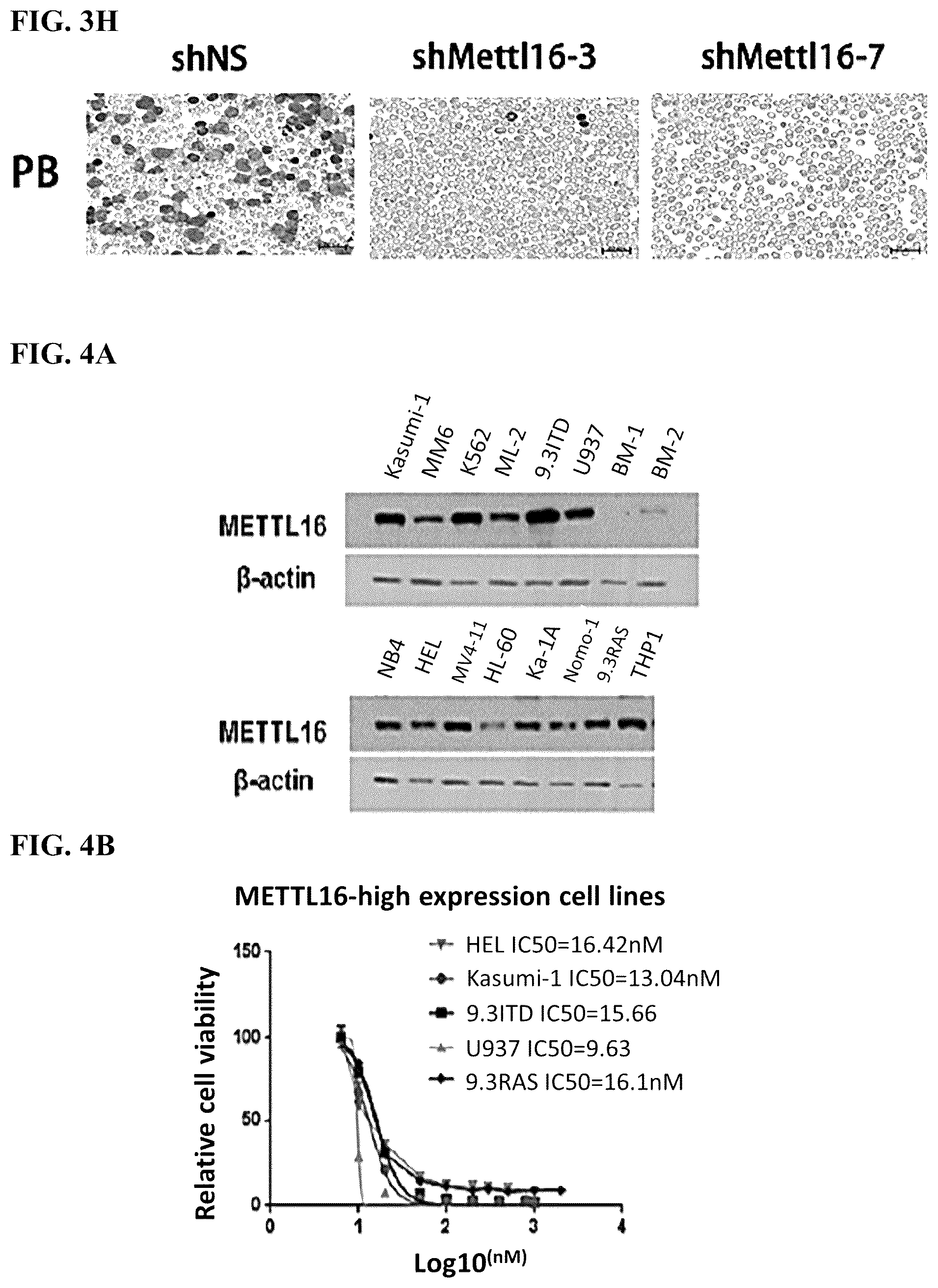 Patent US12576082 Figure 12 – METTL16 inhibitors and uses thereof