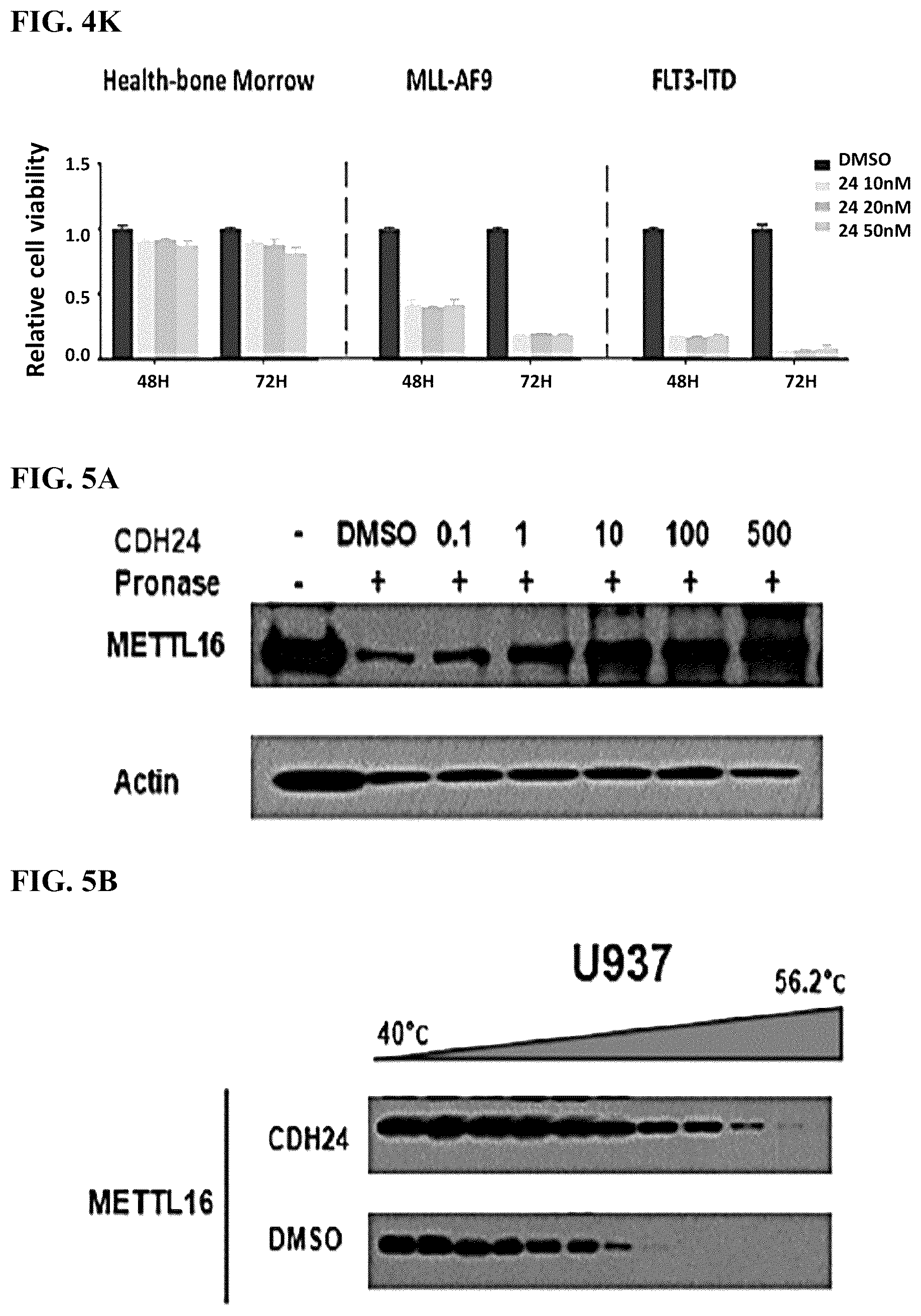 Patent US12576082 Figure 17 – METTL16 inhibitors and uses thereof