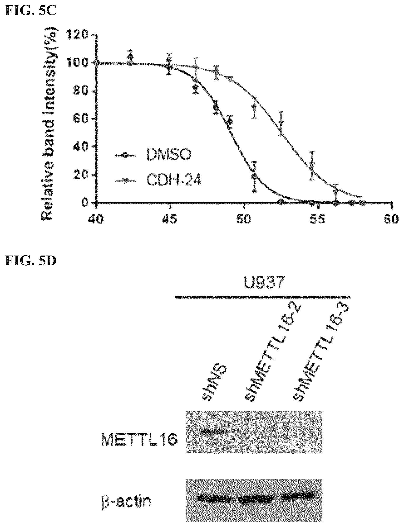 Patent US12576082 Figure 18 – METTL16 inhibitors and uses thereof