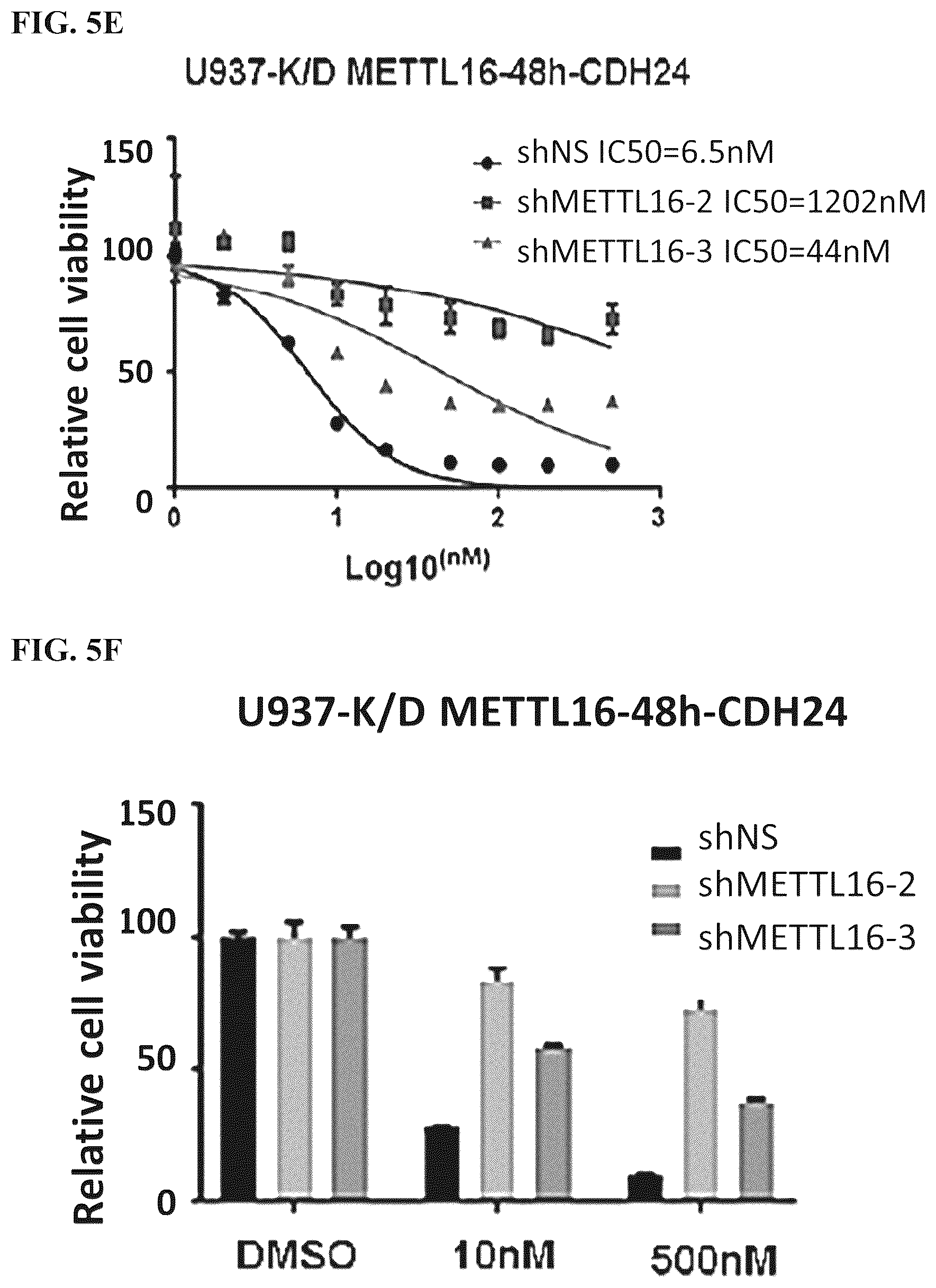 Patent US12576082 Figure 19 – METTL16 inhibitors and uses thereof