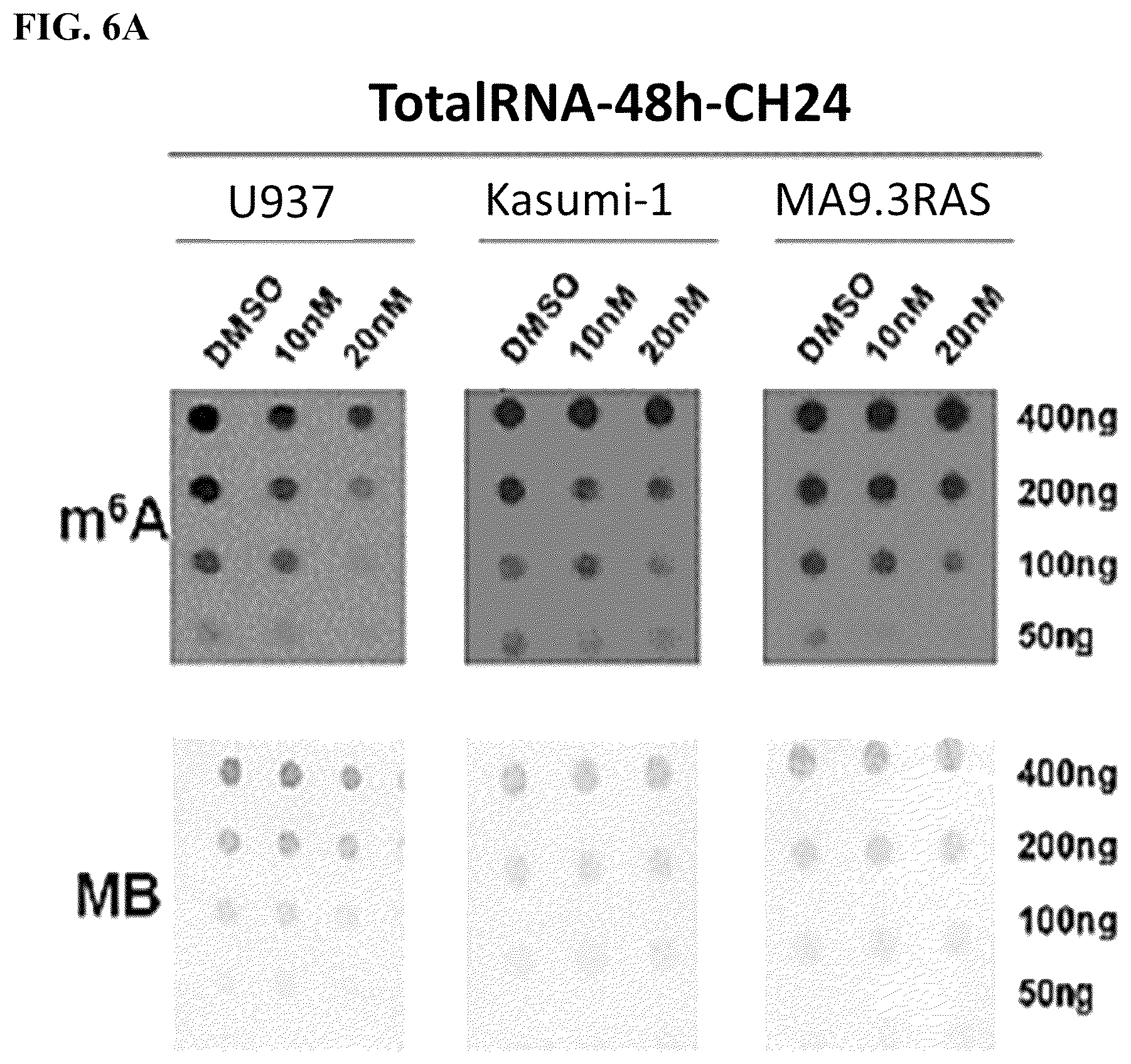 Patent US12576082 Figure 20 – METTL16 inhibitors and uses thereof