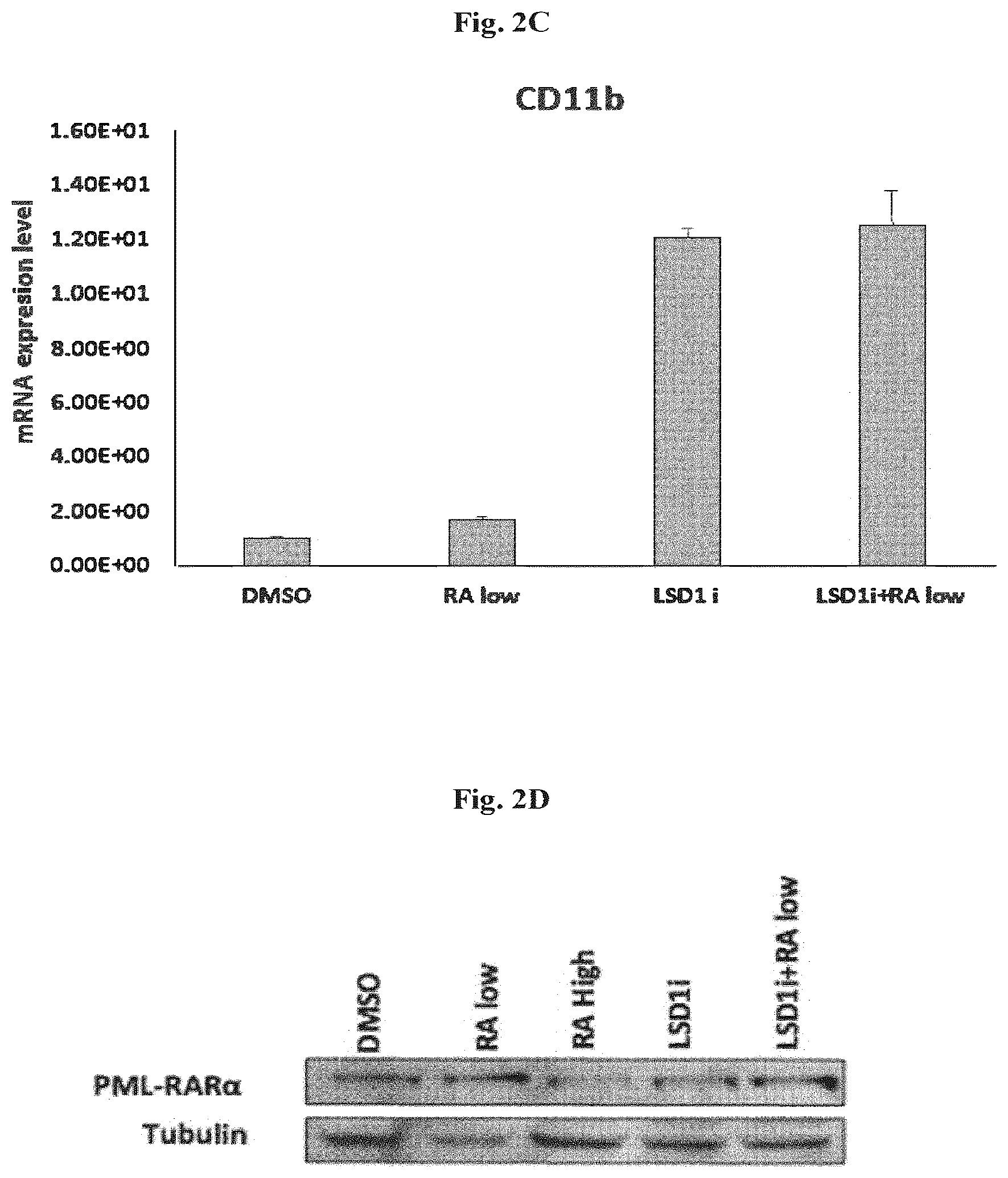 Patent US12576083 Figure 5 – Combinational therapy of LSD1 inhibitors with P21 activators in the treatment of cancer