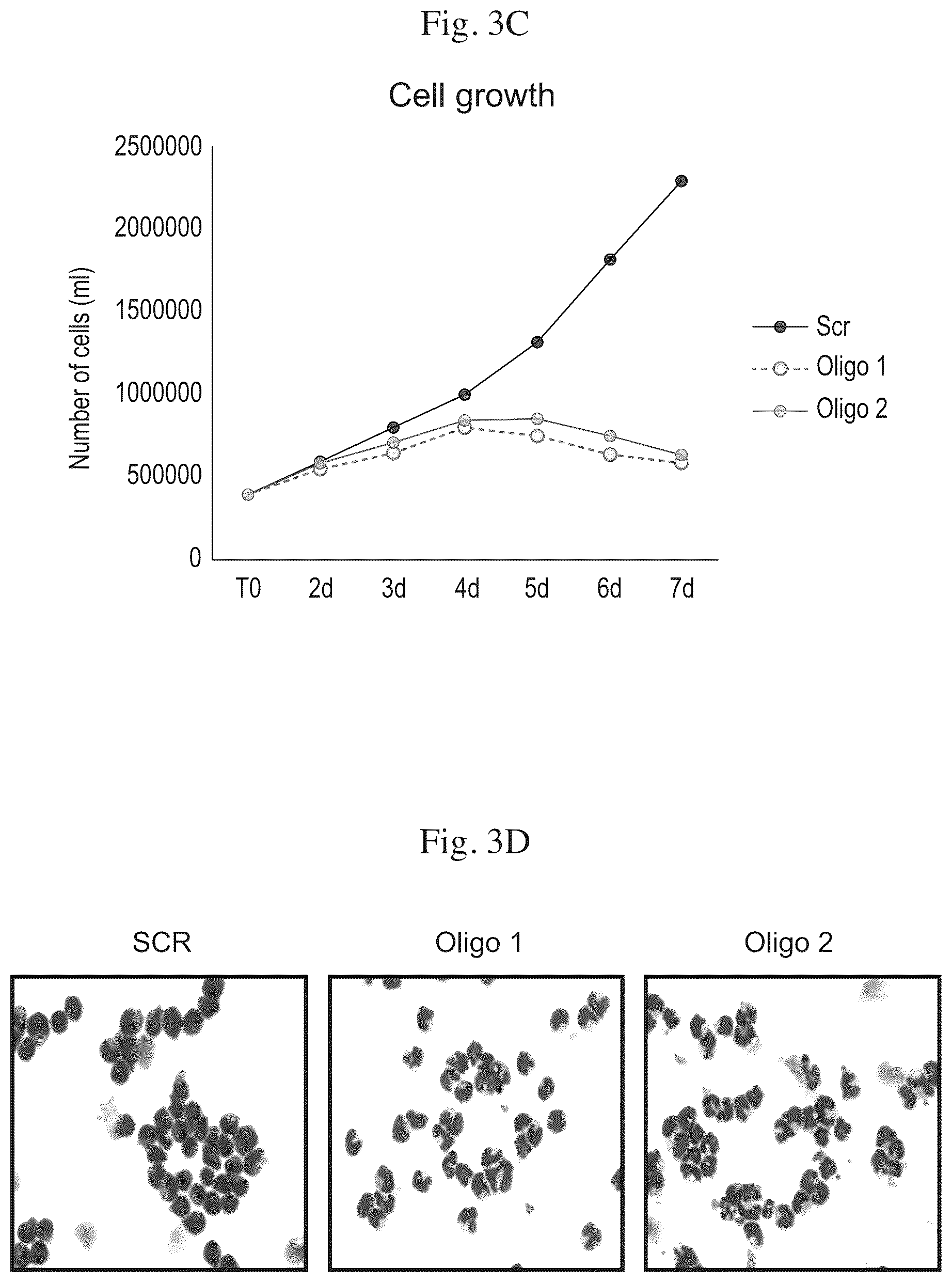 Patent US12576083 Figure 9 – Combinational therapy of LSD1 inhibitors with P21 activators in the treatment of cancer