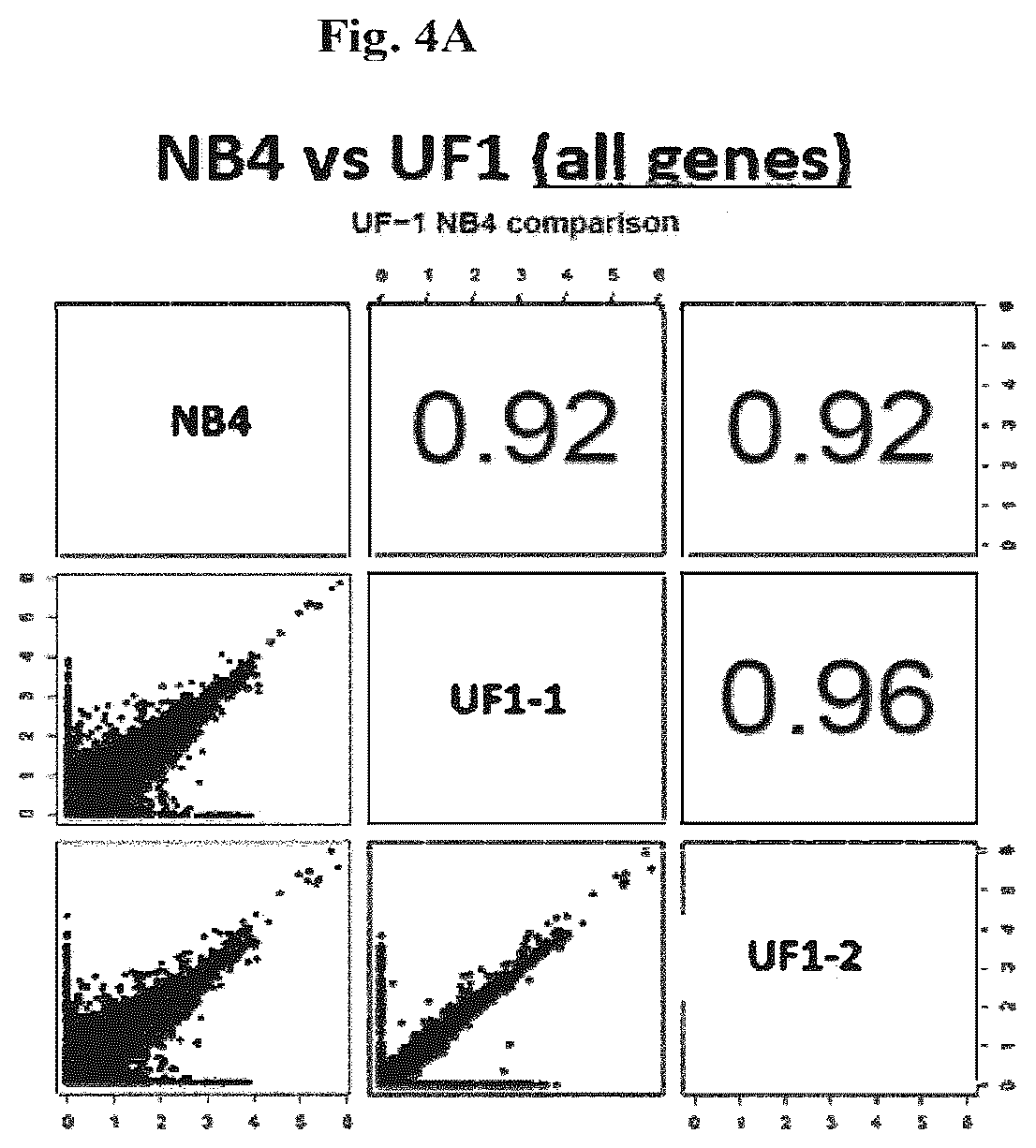 Patent US12576083 Figure 12 – Combinational therapy of LSD1 inhibitors with P21 activators in the treatment of cancer