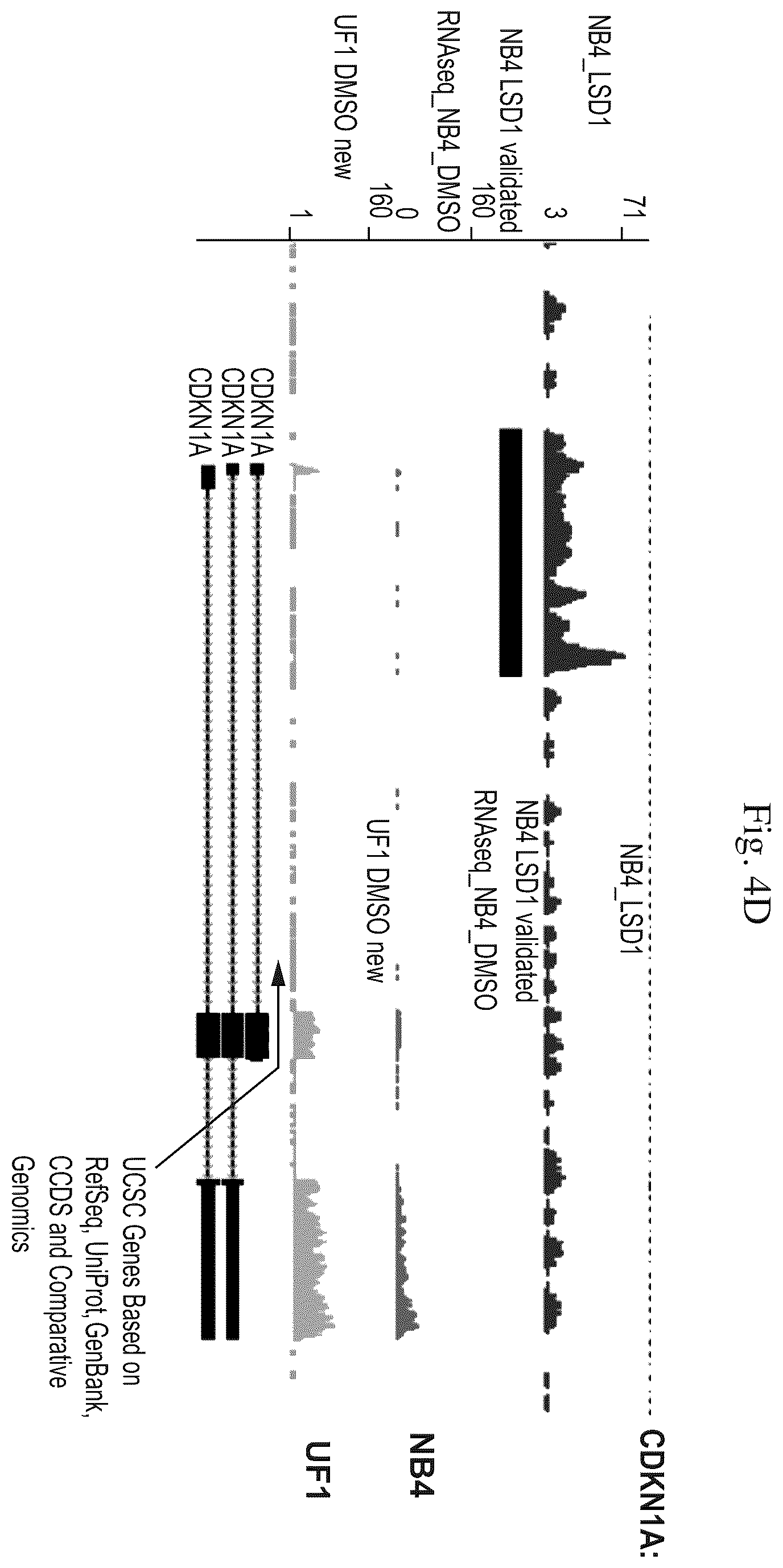 Patent US12576083 Figure 15 – Combinational therapy of LSD1 inhibitors with P21 activators in the treatment of cancer