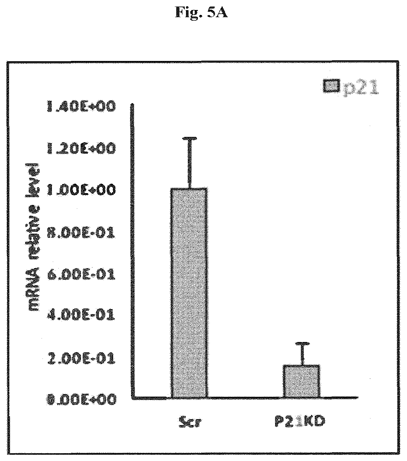 Patent US12576083 Figure 16 – Combinational therapy of LSD1 inhibitors with P21 activators in the treatment of cancer
