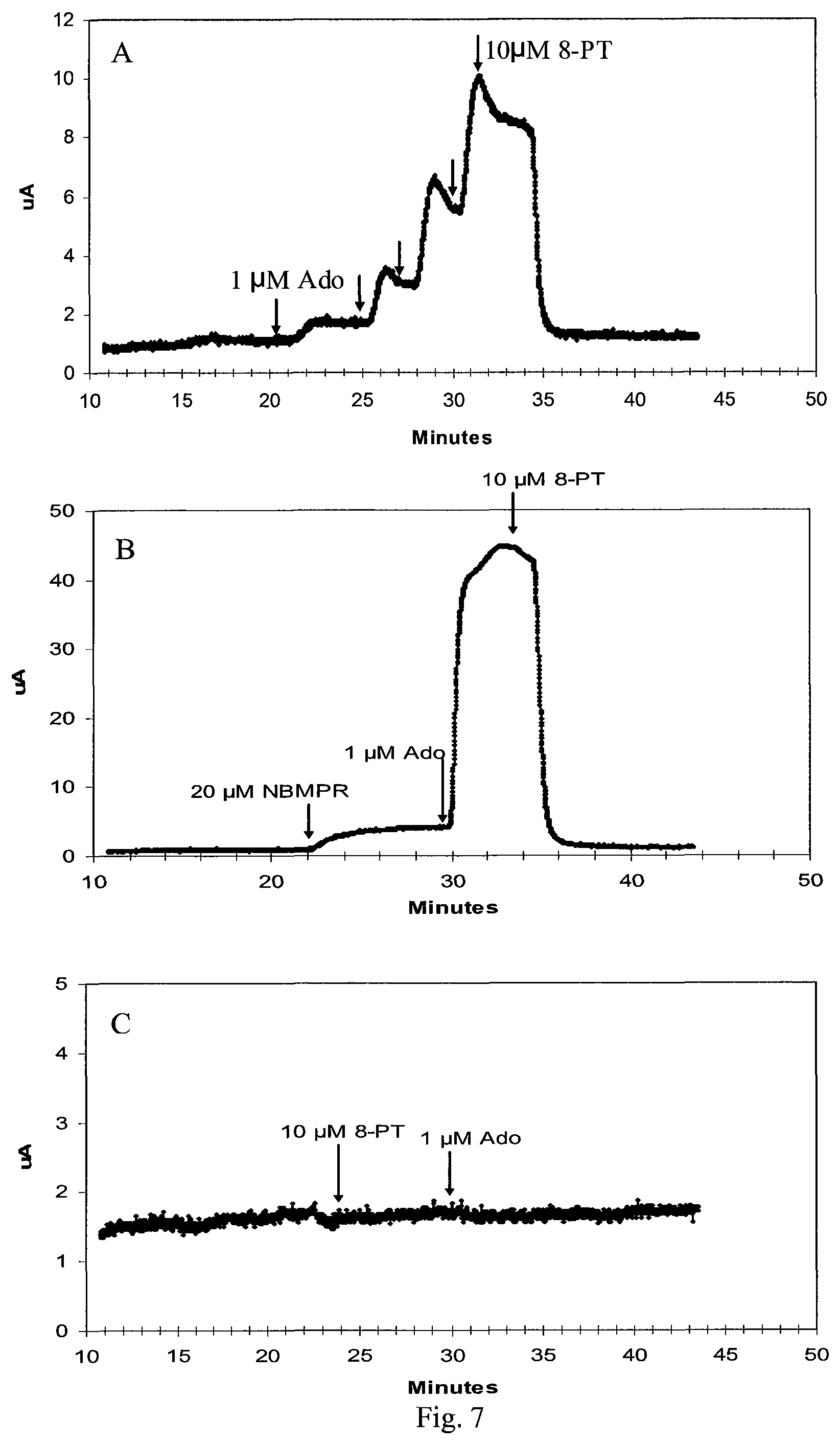 Patent US12576085 Figure 7 – Combination comprising an ATP analog and an adenosine receptor antagonist or a nucleobase/nucleoside analog for the treatment of cancer