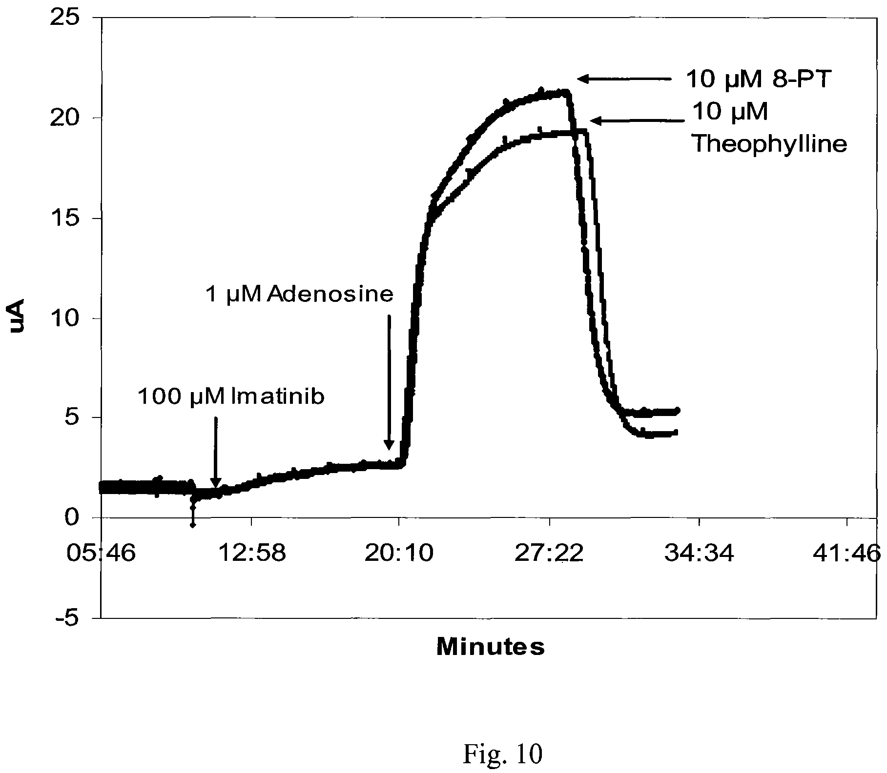 Patent US12576085 Figure 10 – Combination comprising an ATP analog and an adenosine receptor antagonist or a nucleobase/nucleoside analog for the treatment of cancer