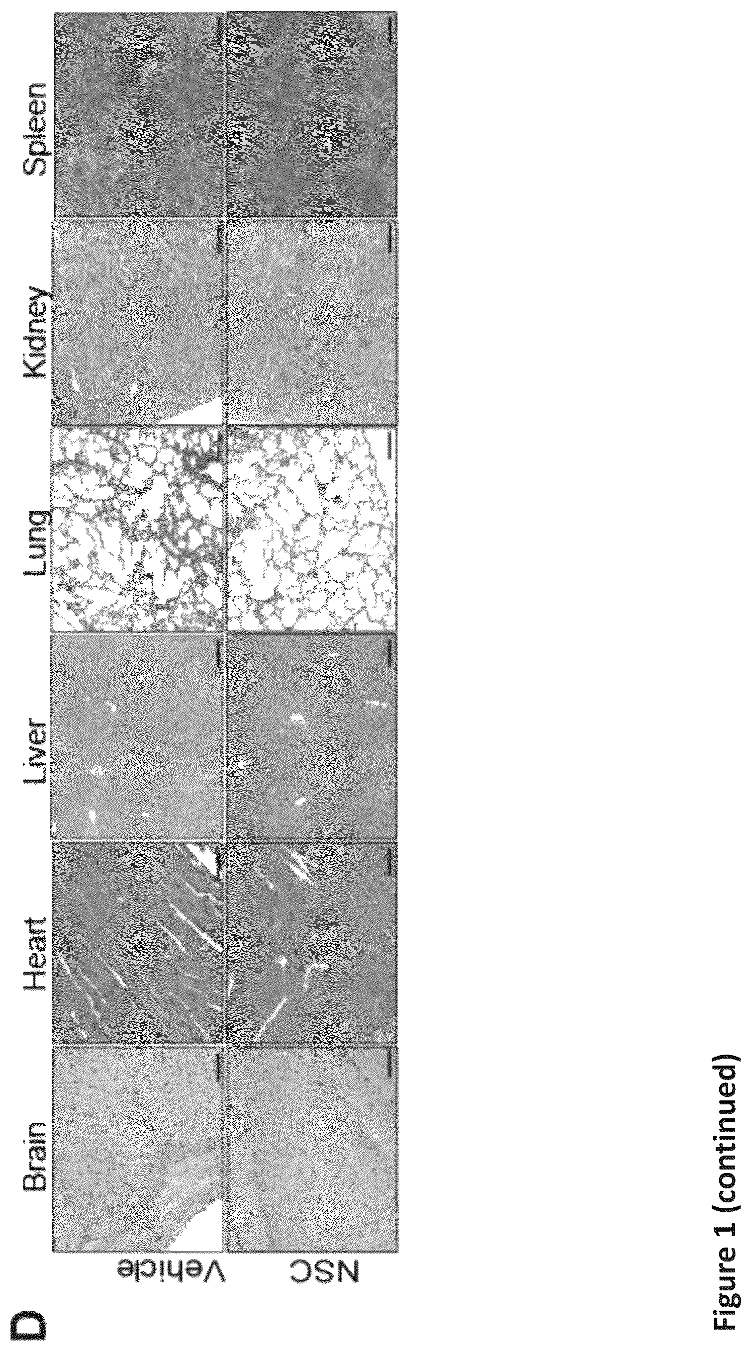 Patent US12576088 Figure 3 – Methods for enhancing cytotoxic cancer therapy through inhibition of ATG4B