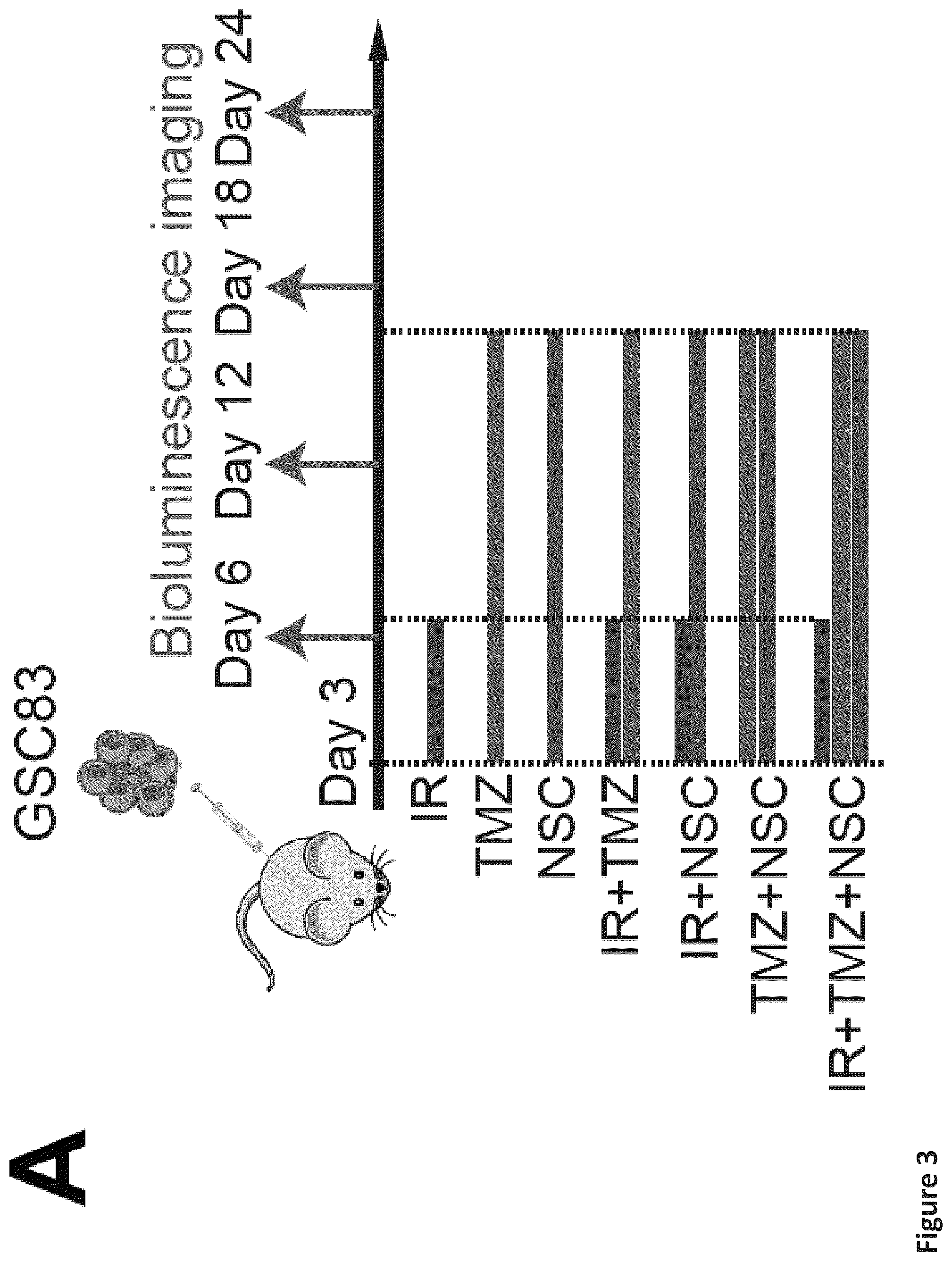 Patent US12576088 Figure 7 – Methods for enhancing cytotoxic cancer therapy through inhibition of ATG4B