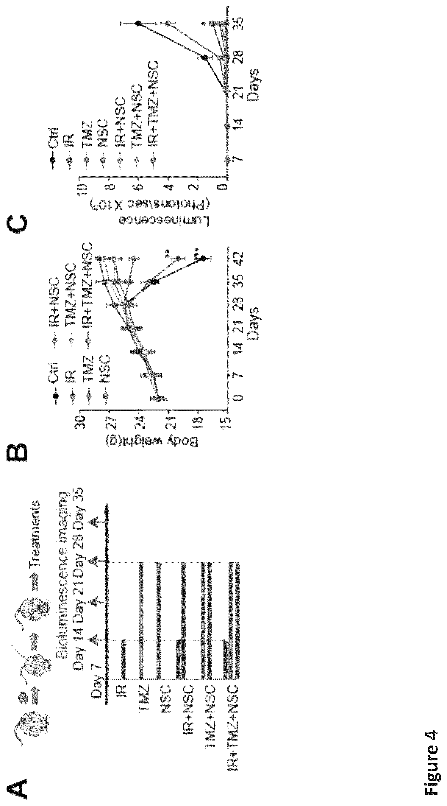 Patent US12576088 Figure 12 – Methods for enhancing cytotoxic cancer therapy through inhibition of ATG4B