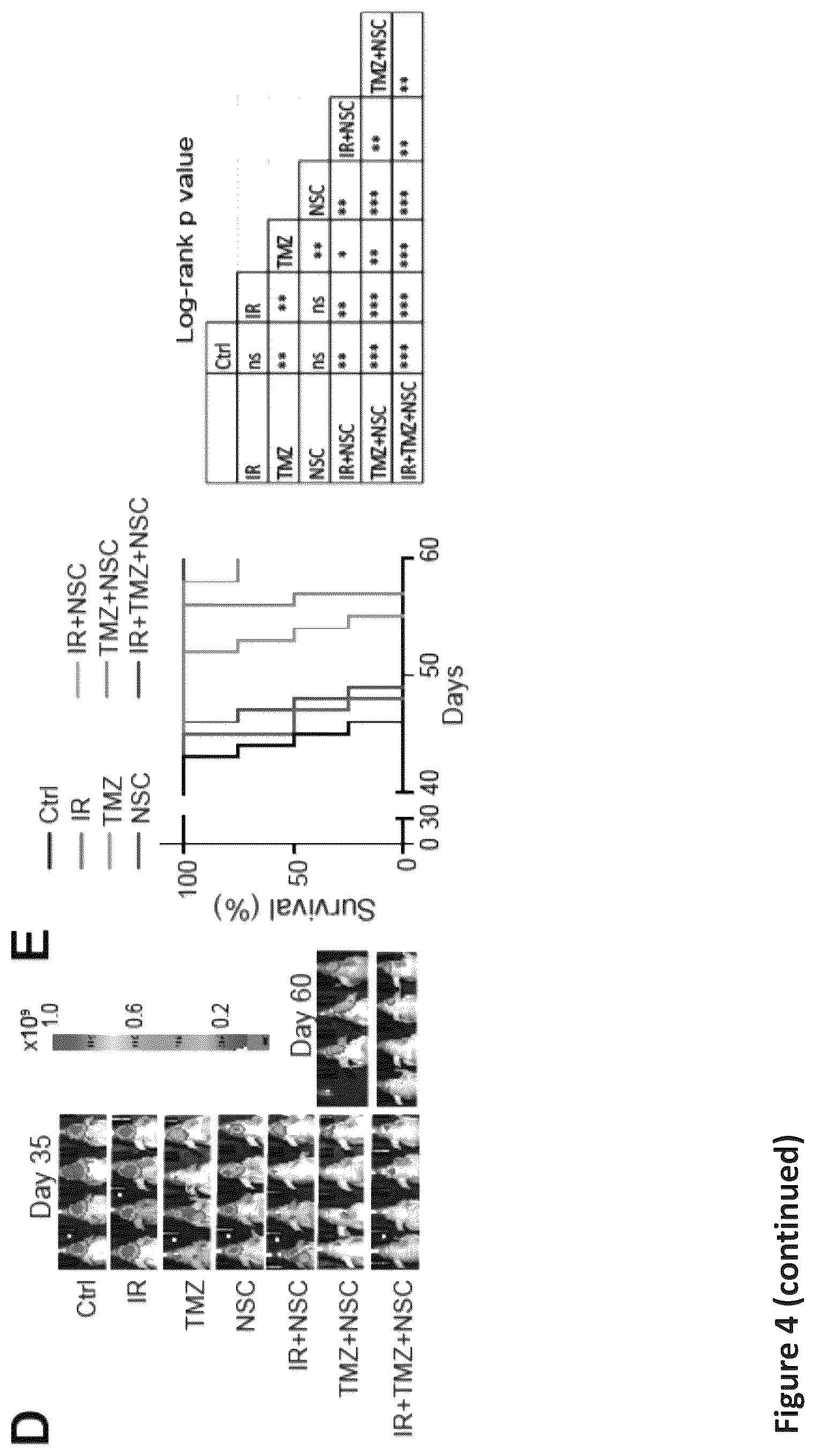Patent US12576088 Figure 13 – Methods for enhancing cytotoxic cancer therapy through inhibition of ATG4B