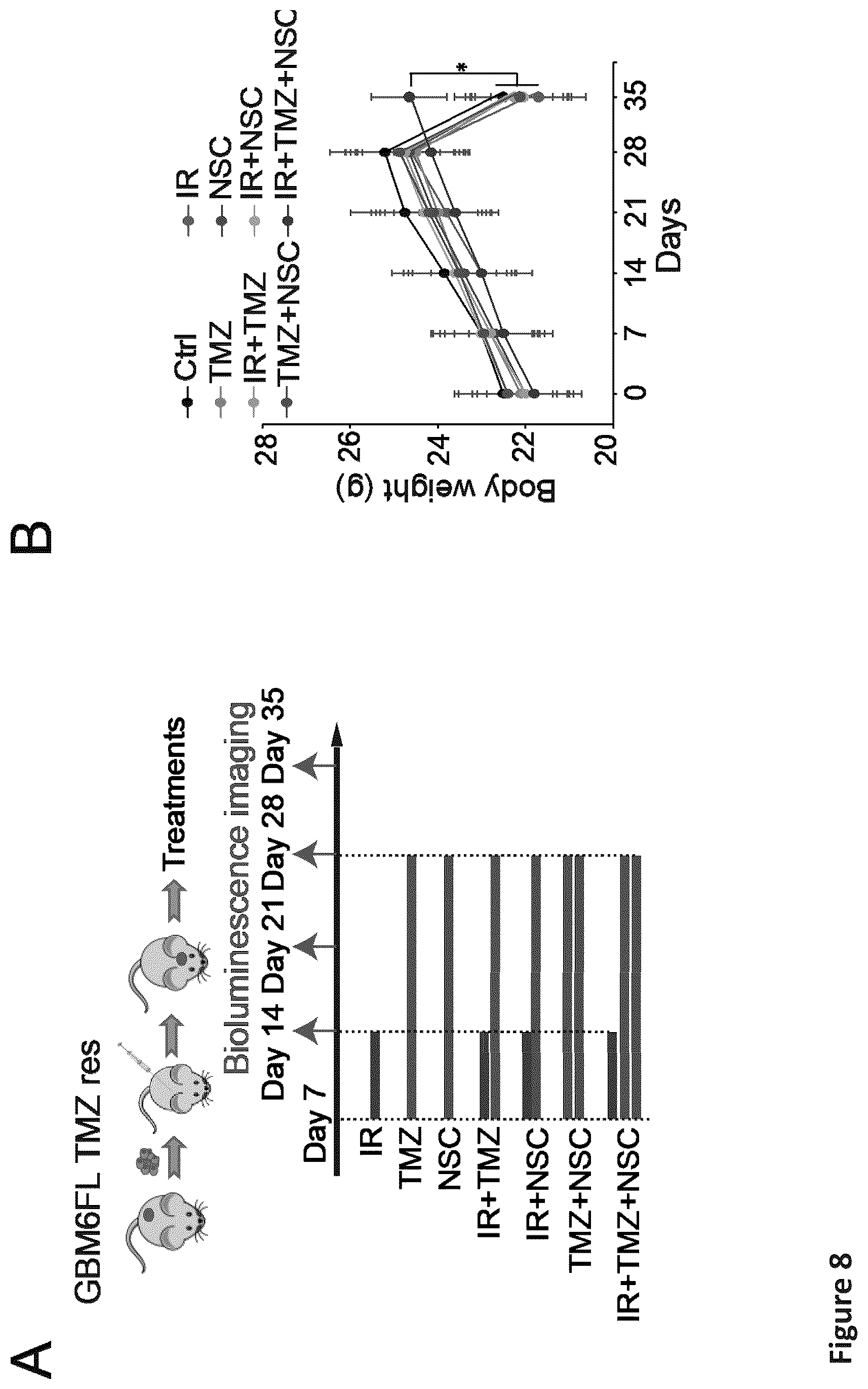 Patent US12576088 Figure 19 – Methods for enhancing cytotoxic cancer therapy through inhibition of ATG4B
