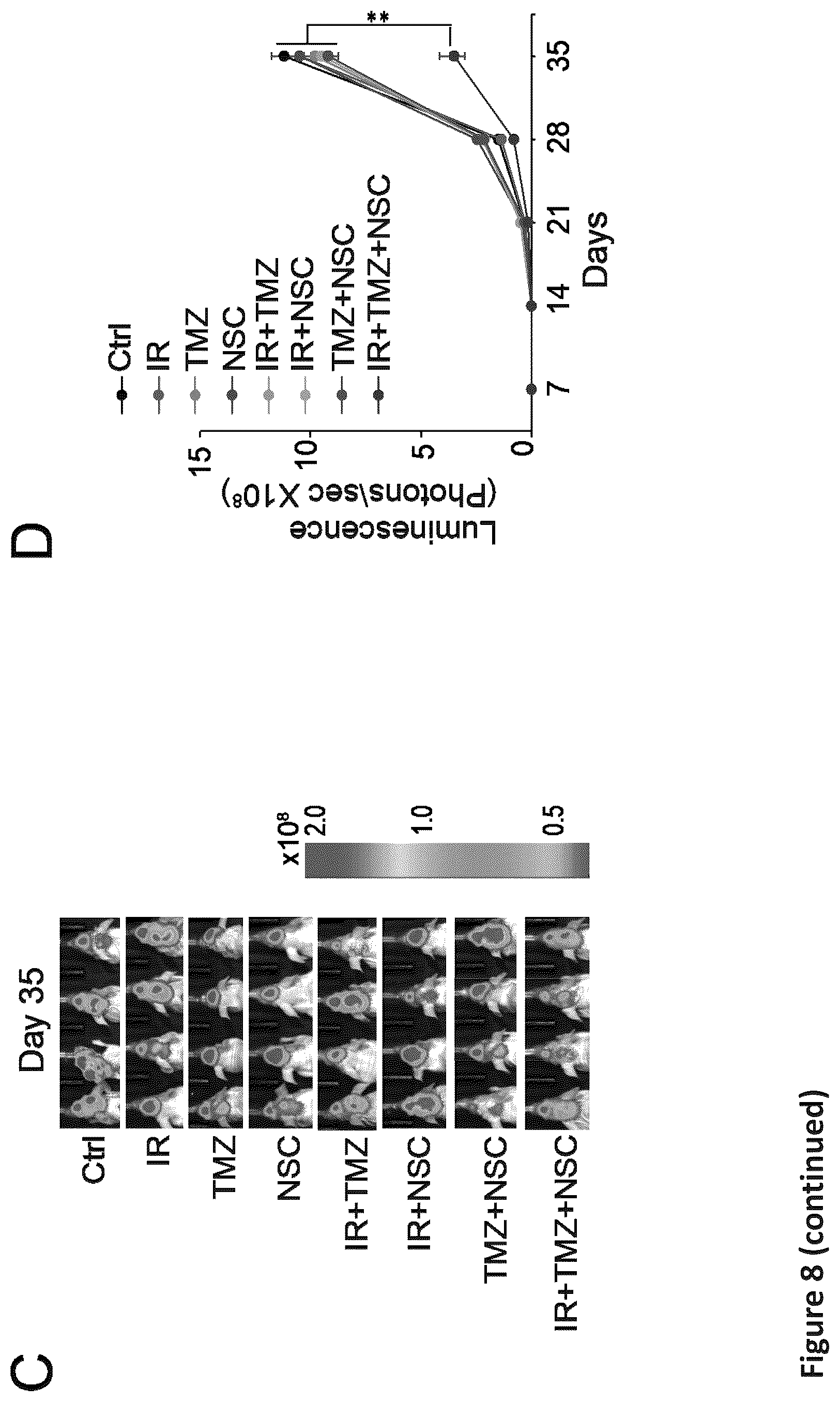 Patent US12576088 Figure 20 – Methods for enhancing cytotoxic cancer therapy through inhibition of ATG4B