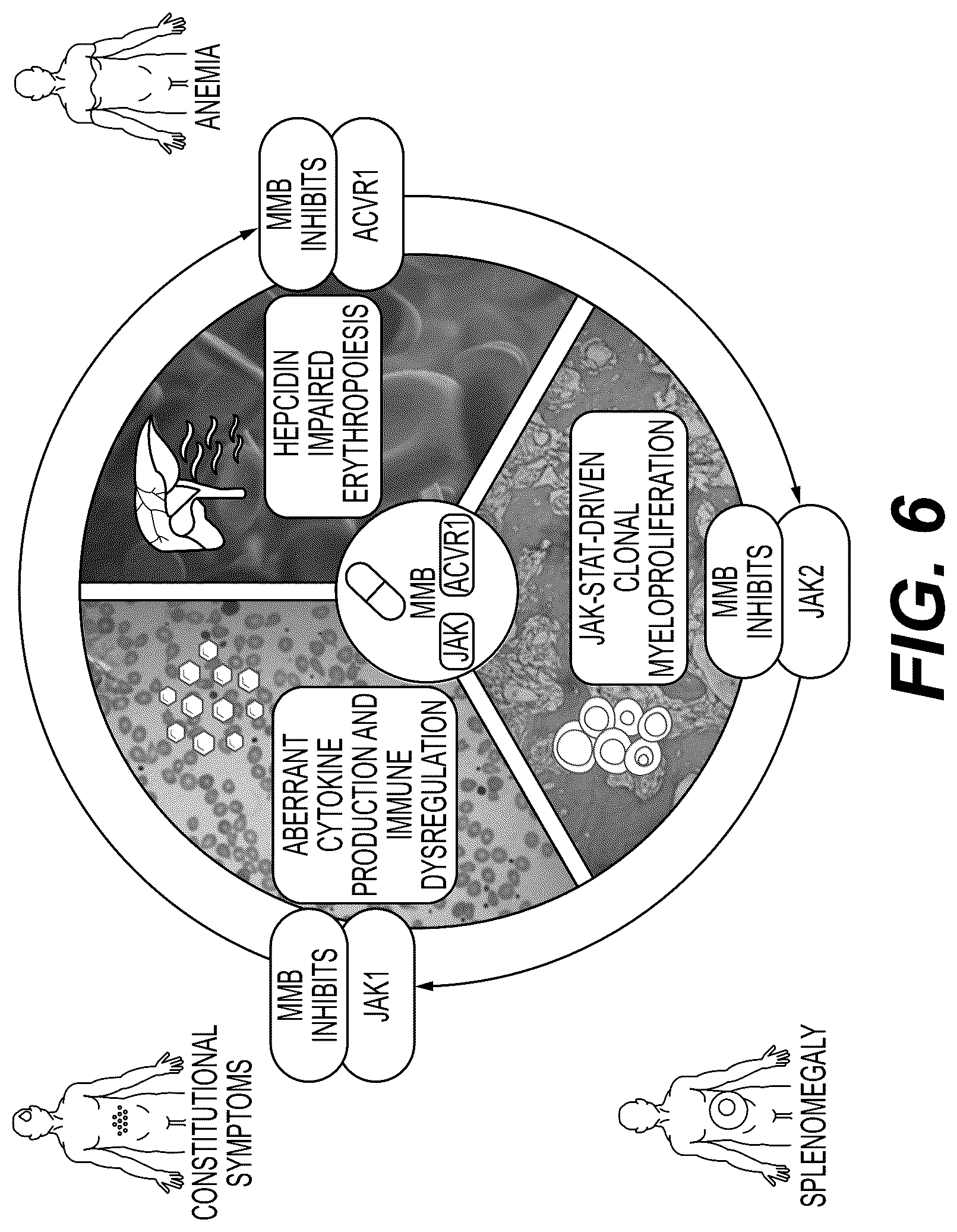 Patent US12576089 Figure 6 – Platelet count-agnostic methods of treating myelofibrosis