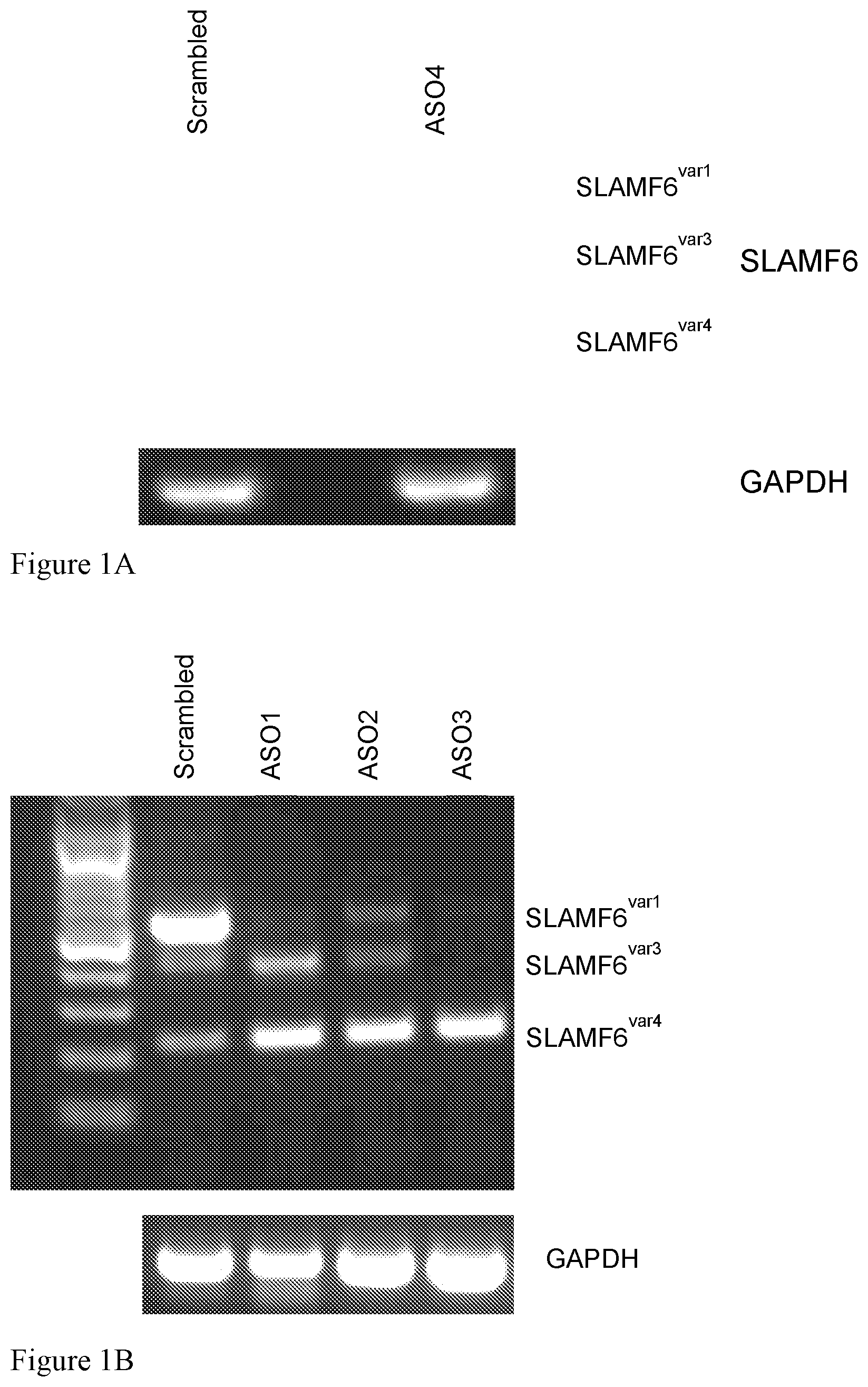 Patent US12576100 Figure 1 – Nucleic acid agents modulating SLAMF6 isoforms