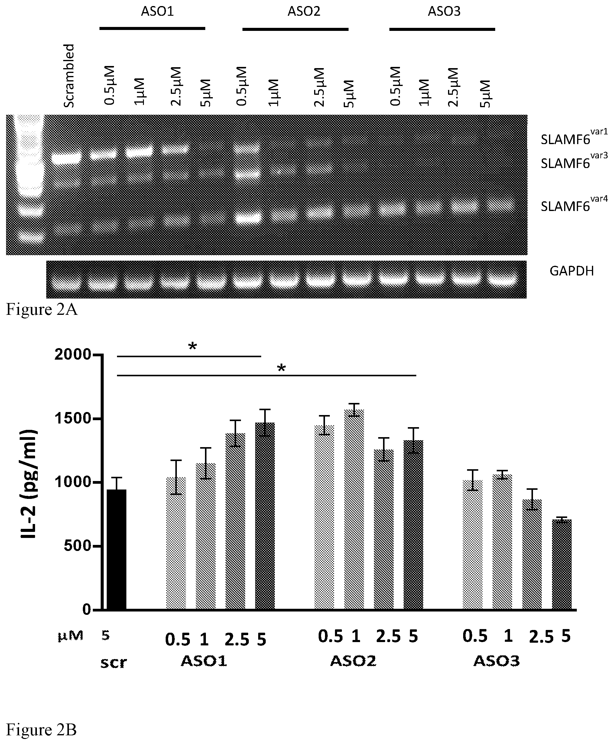 Patent US12576100 Figure 3 – Nucleic acid agents modulating SLAMF6 isoforms
