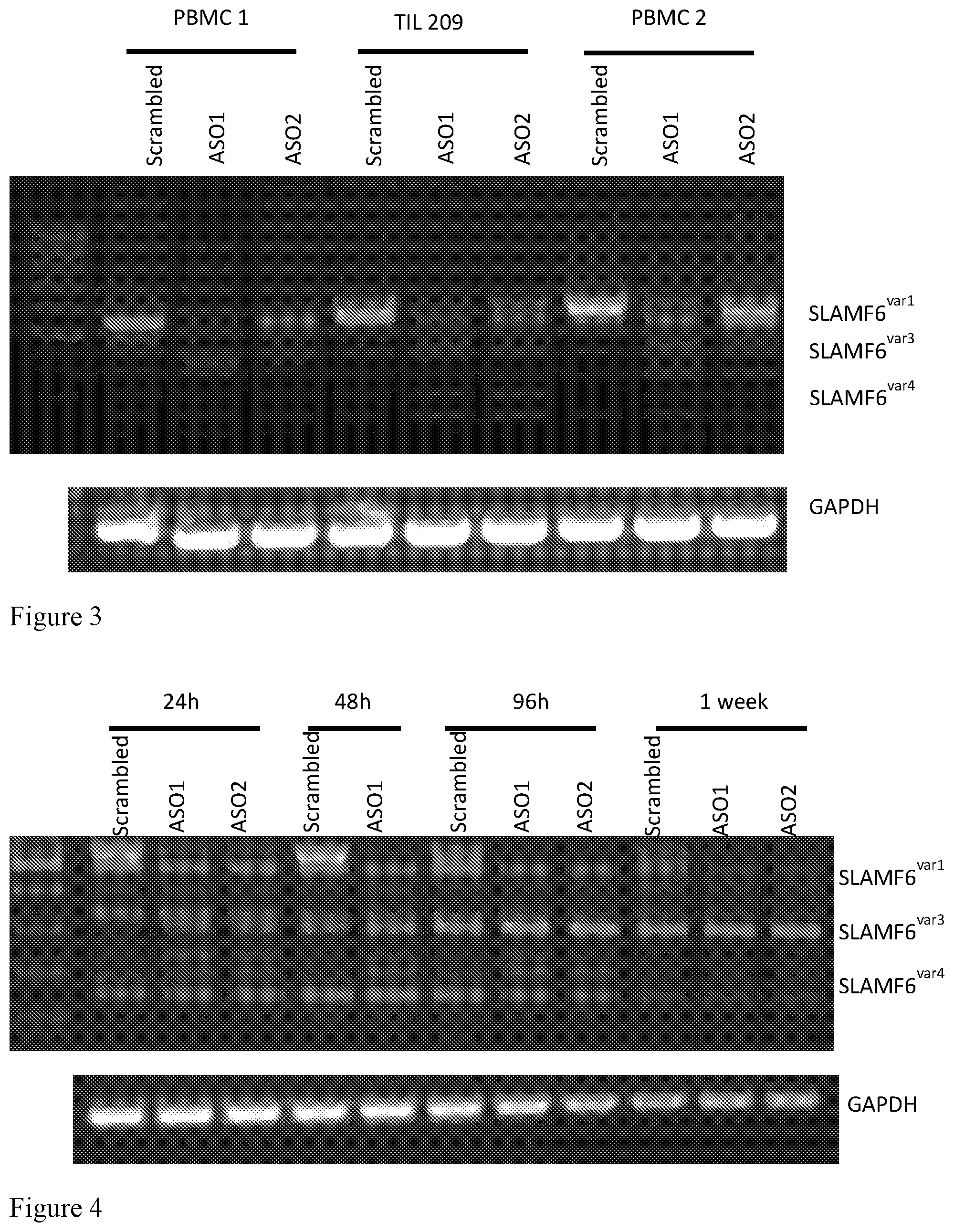 Patent US12576100 Figure 4 – Nucleic acid agents modulating SLAMF6 isoforms