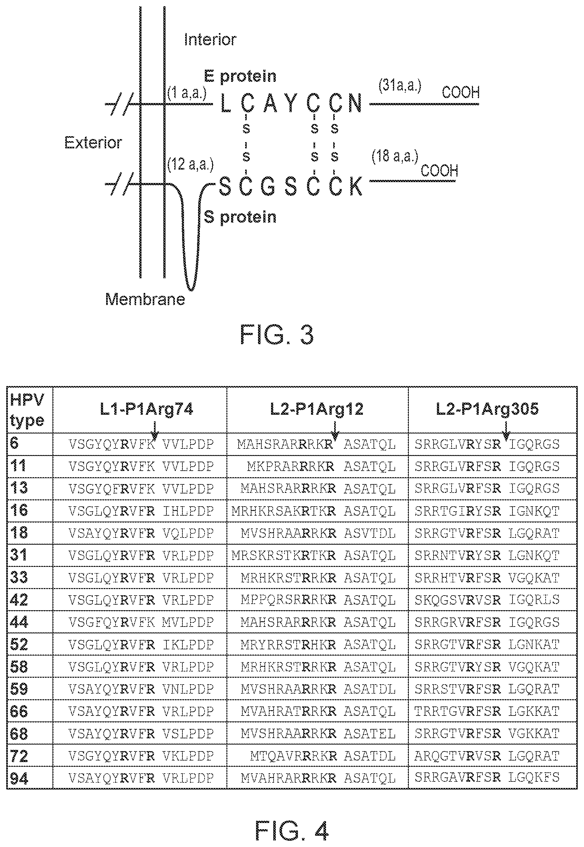 Patent US12576103 Figure 3 – Heparin and N-acetylcysteine for the treatment of lung injury