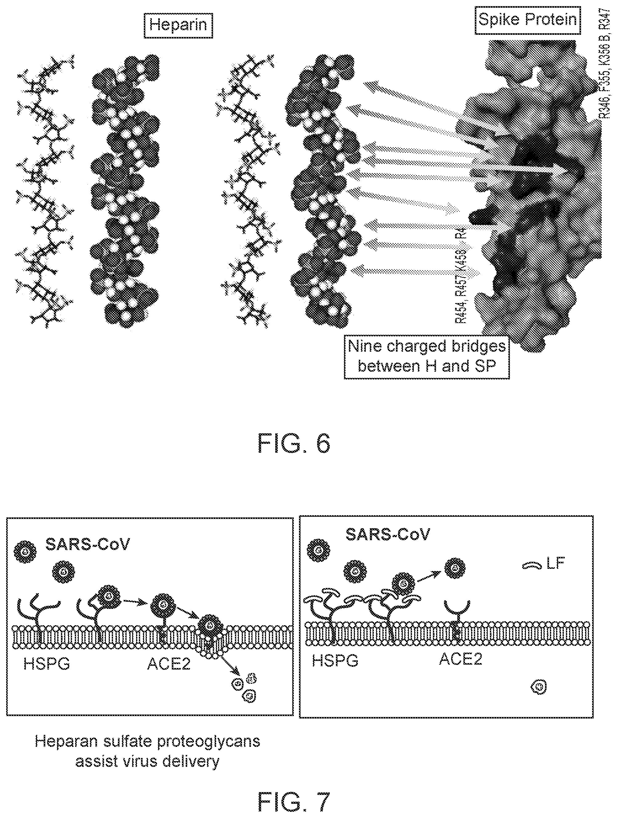 Patent US12576103 Figure 5 – Heparin and N-acetylcysteine for the treatment of lung injury