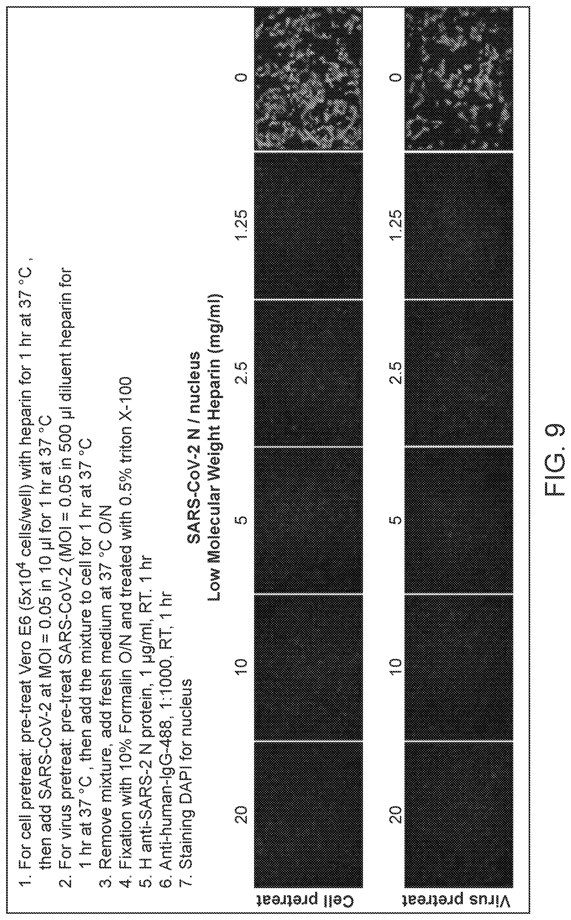Patent US12576103 Figure 7 – Heparin and N-acetylcysteine for the treatment of lung injury