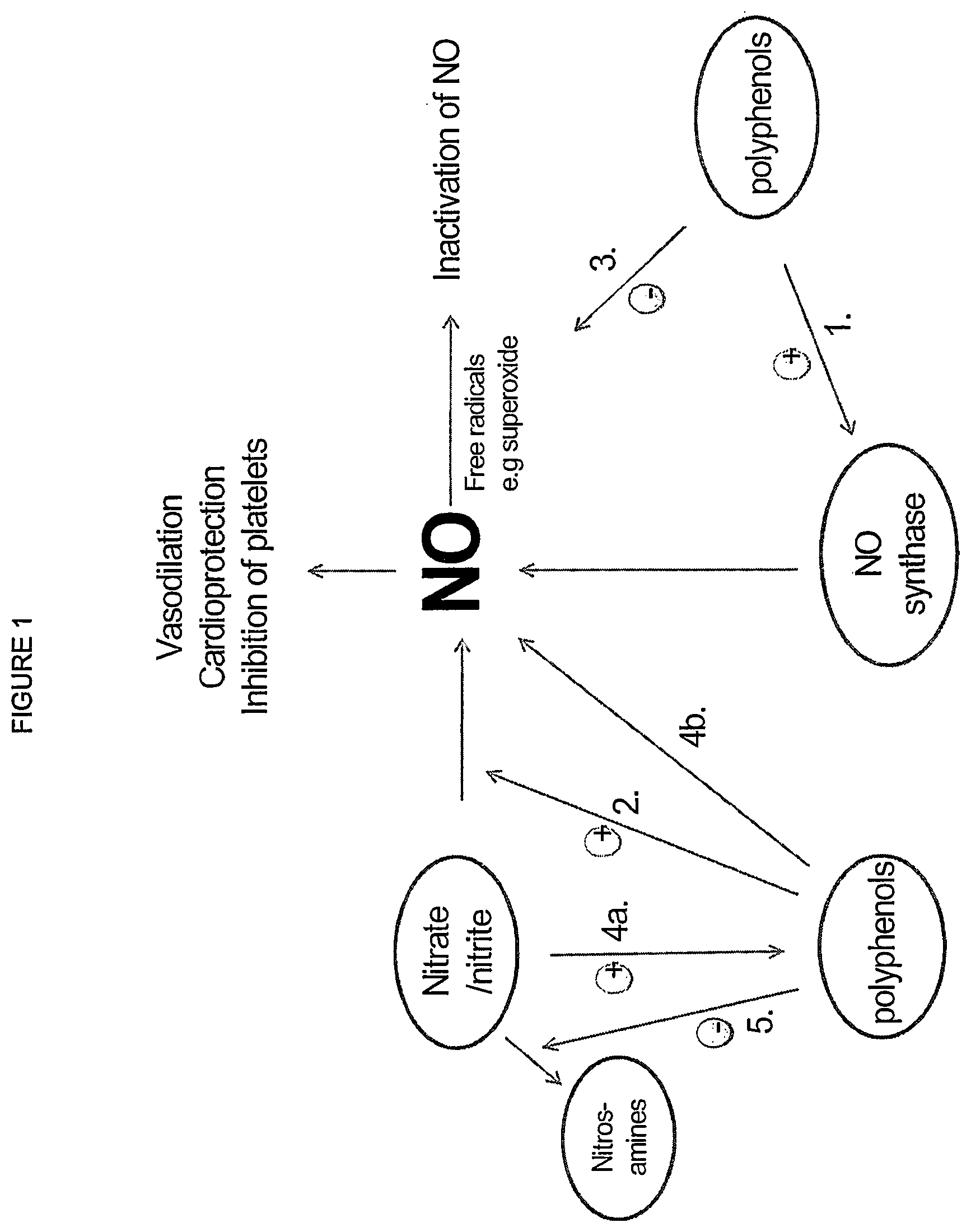 Patent US12576106 Figure 1 – Compositions of nitrates and methods of use thereof