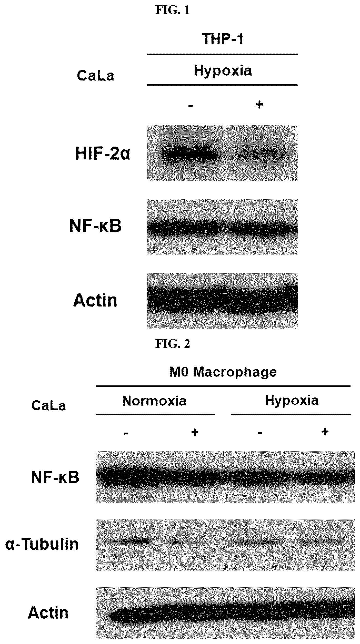 Patent US12576107 Figure 1 – Methods of treating chronic inflammatory diseases