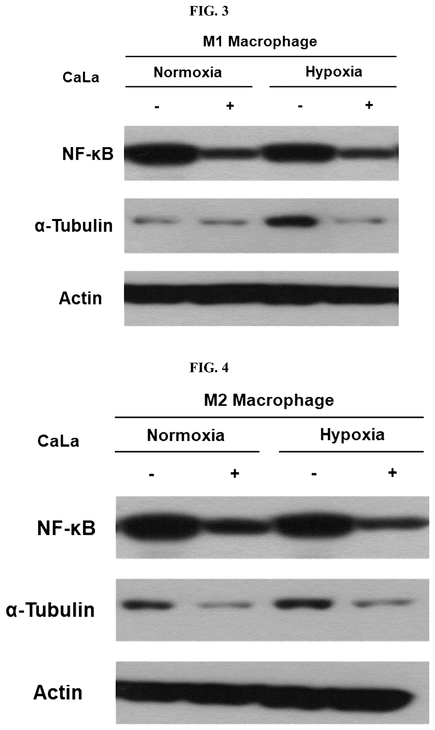 Patent US12576107 Figure 2 – Methods of treating chronic inflammatory diseases