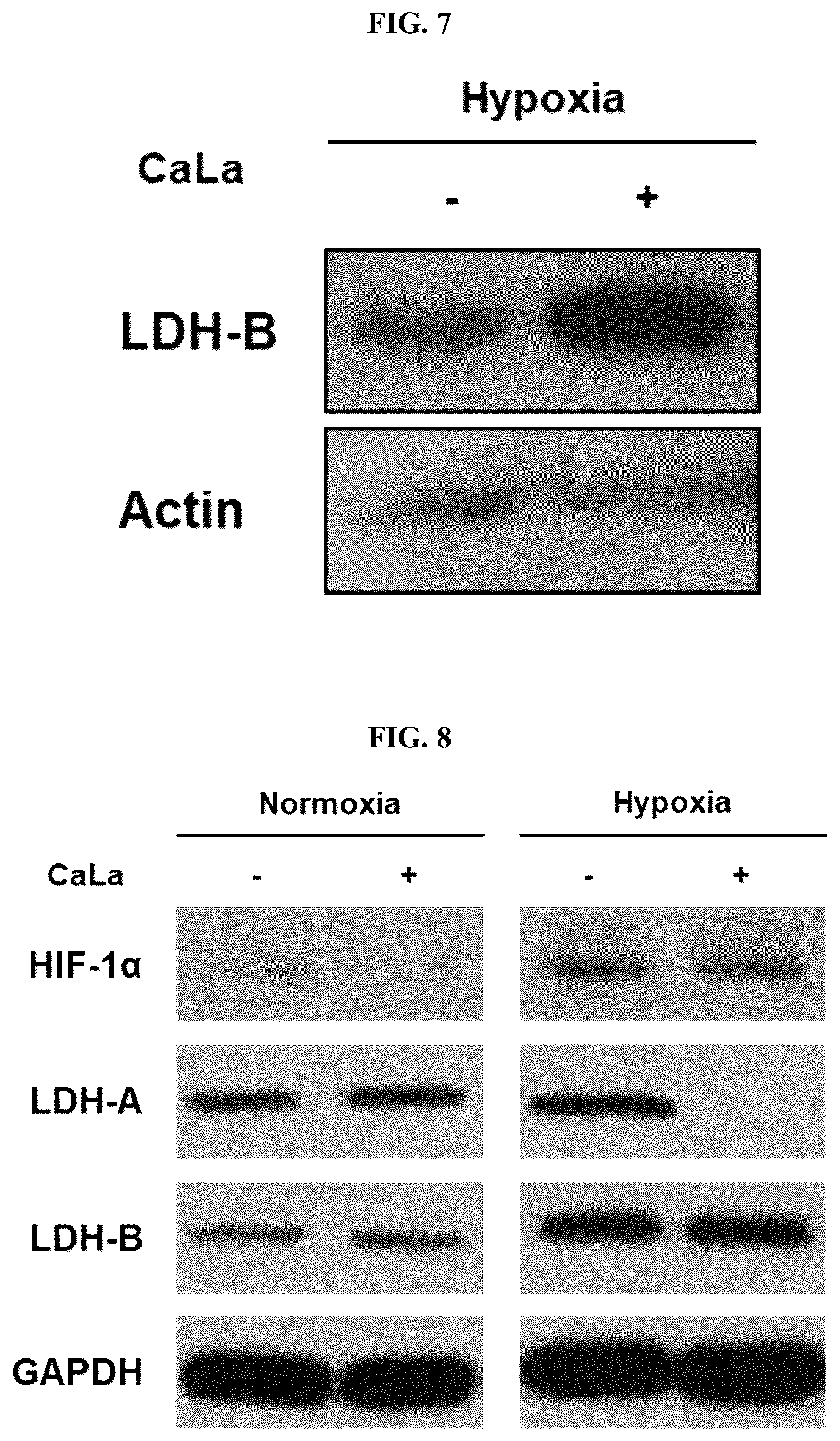 Patent US12576107 Figure 4 – Methods of treating chronic inflammatory diseases