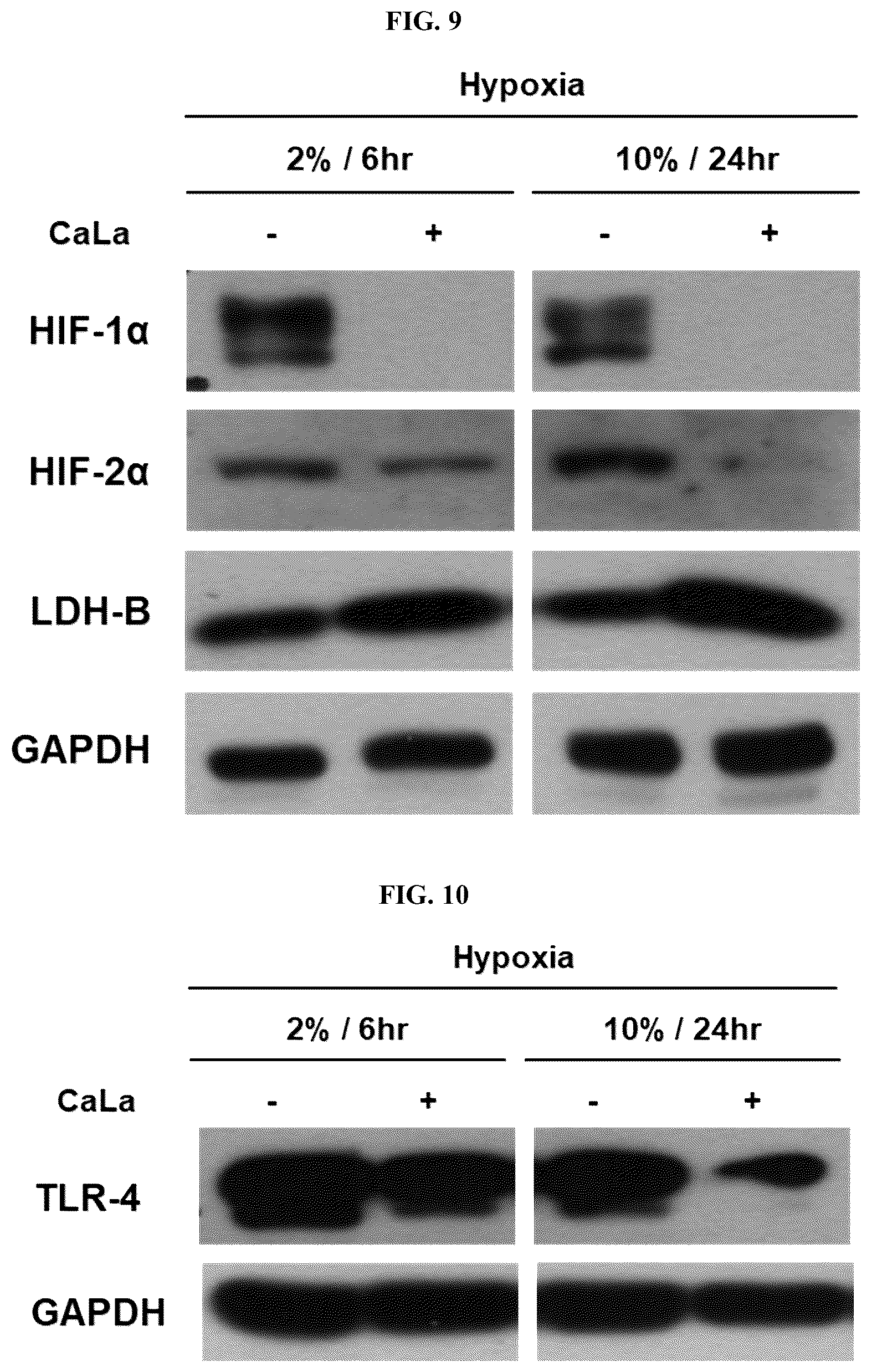 Patent US12576107 Figure 5 – Methods of treating chronic inflammatory diseases