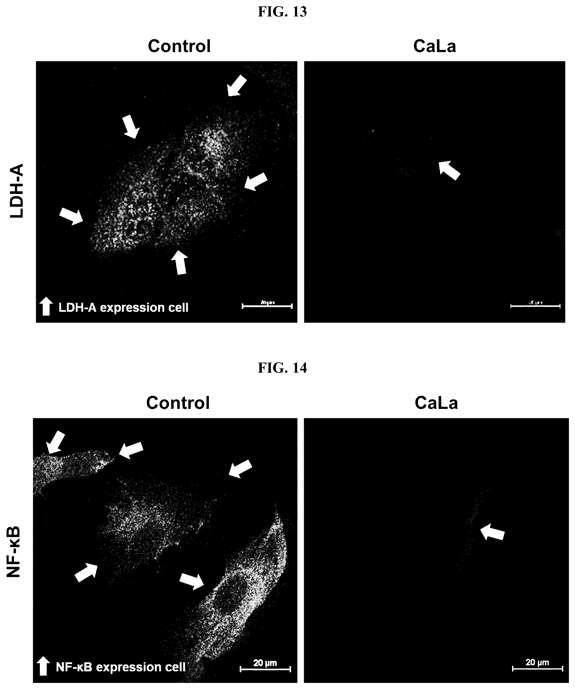 Patent US12576107 Figure 7 – Methods of treating chronic inflammatory diseases