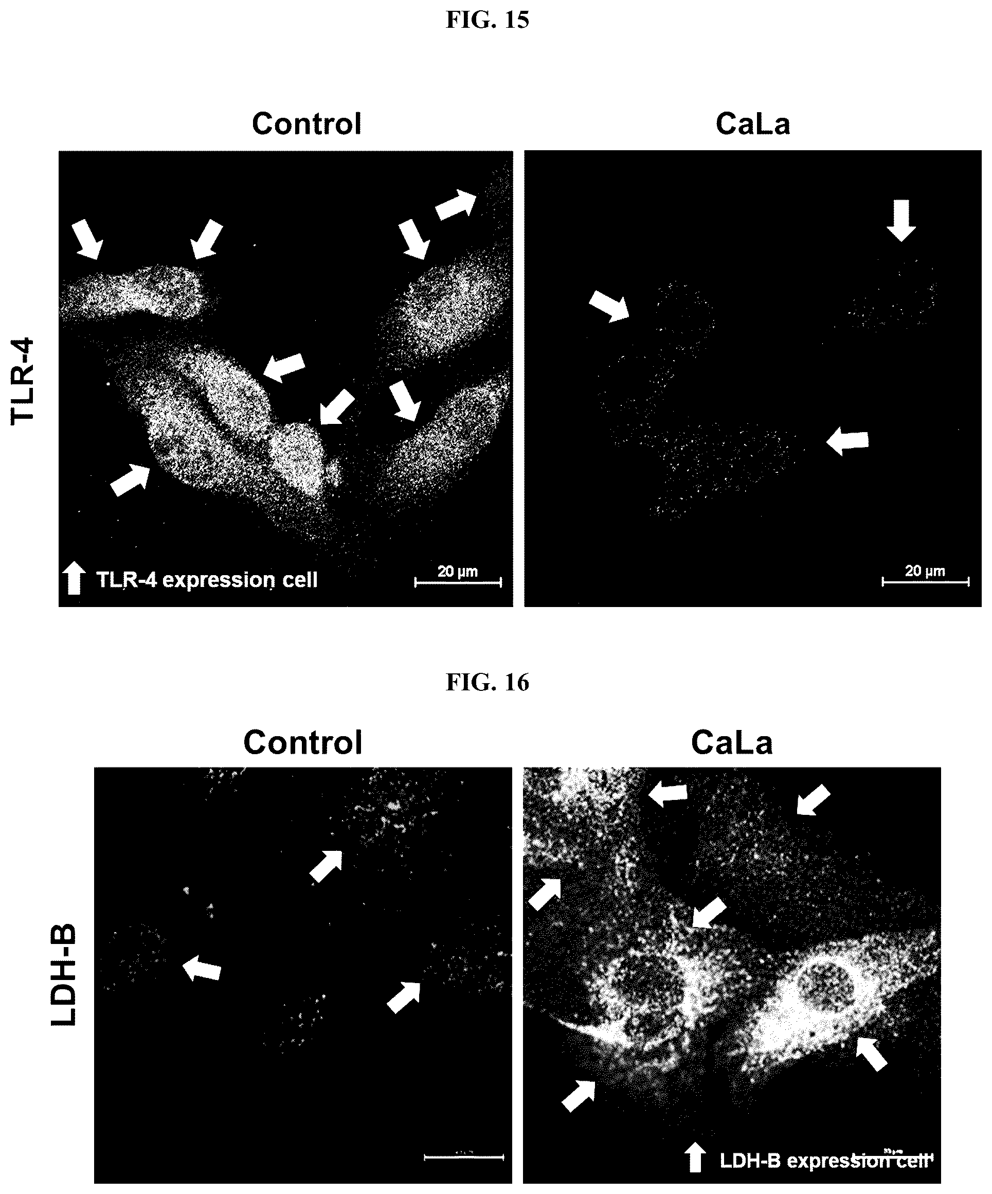 Patent US12576107 Figure 8 – Methods of treating chronic inflammatory diseases